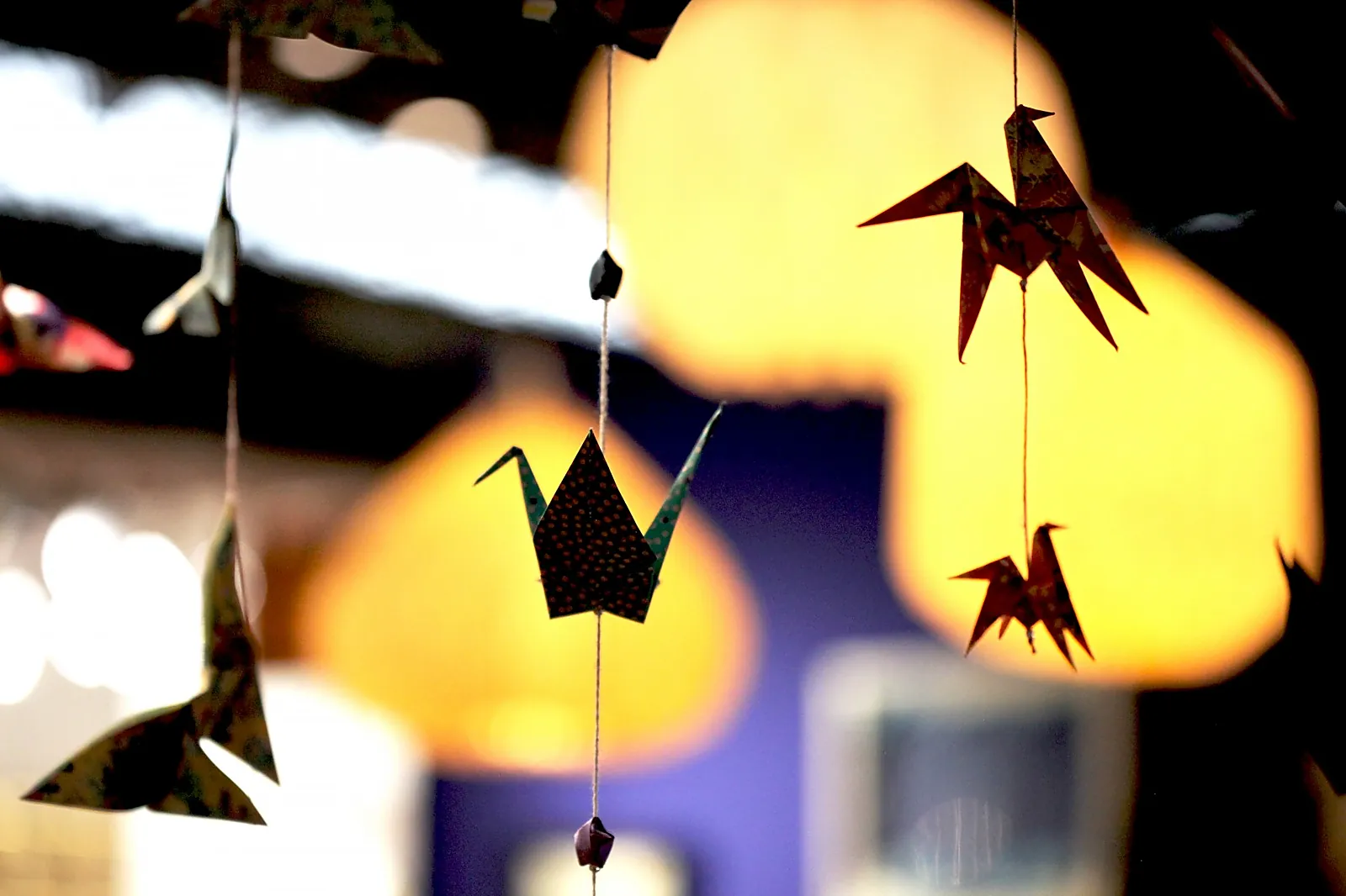 Lieu atypique, PLI MA DÉCO