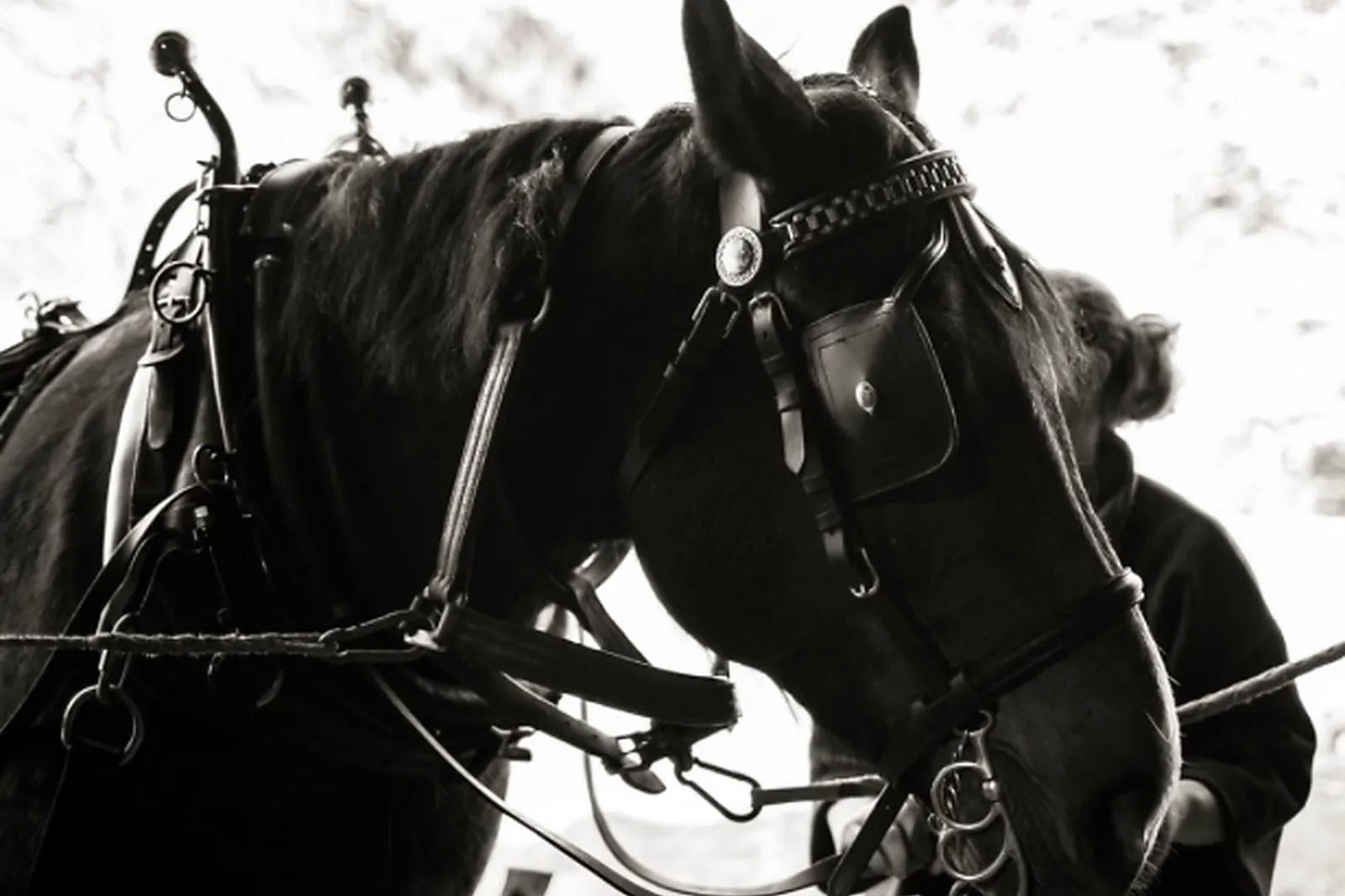 Lieu atypique, MACALECHE