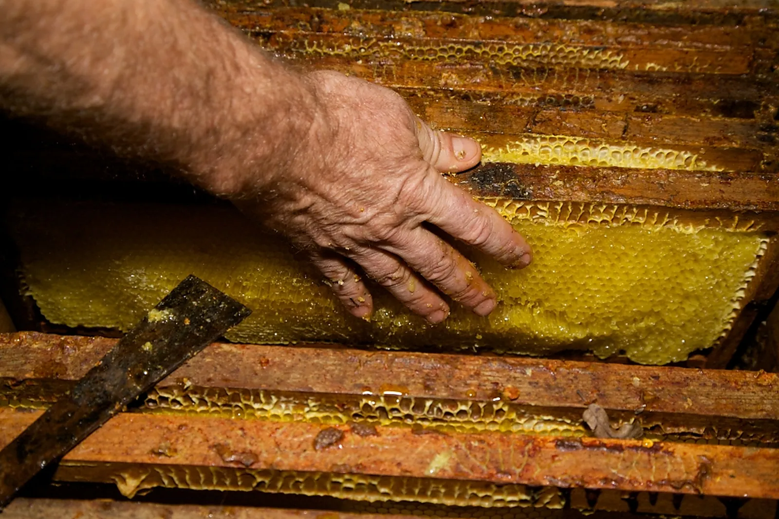 Photographe, ISASOURI PHOTOGRAPHE