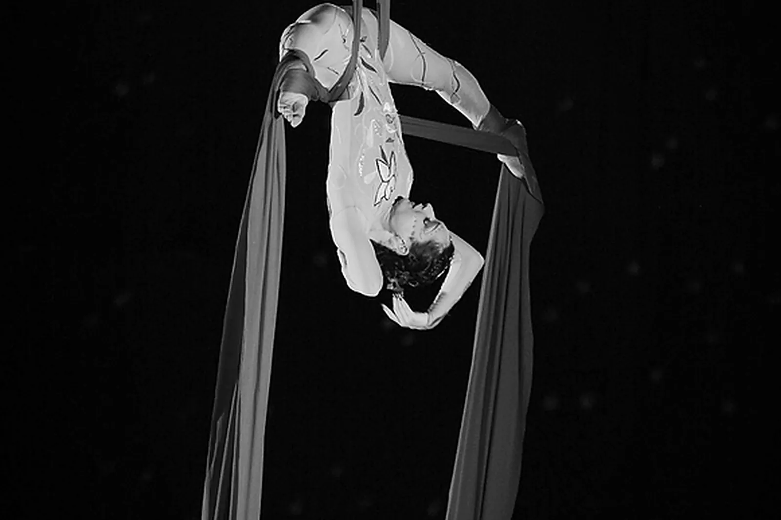 Photographe, SERENA ORTEGA