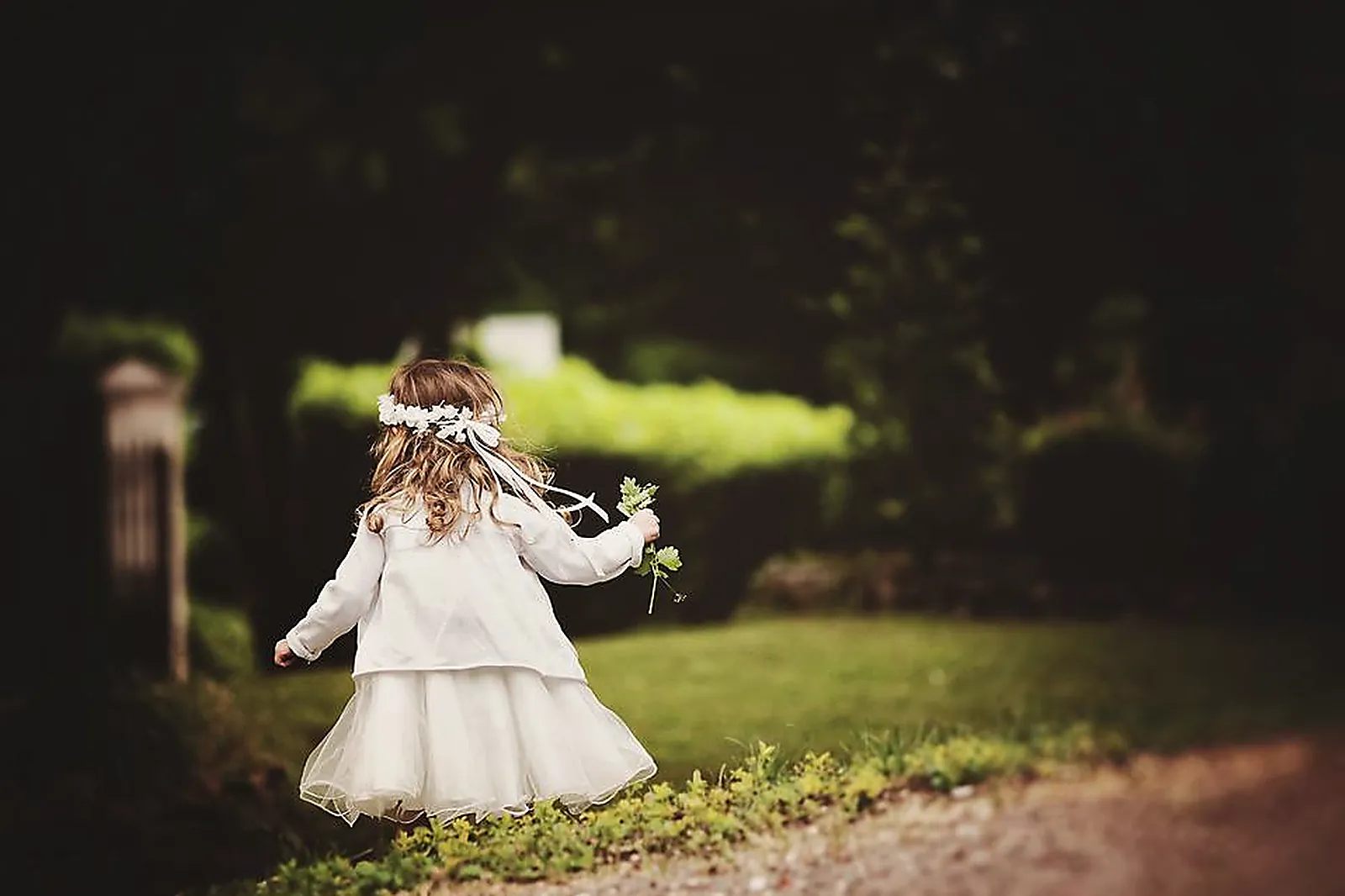 Languedoc-Roussillon-Midi-Pyrénées, FRÉDÉRIC CHAZAL