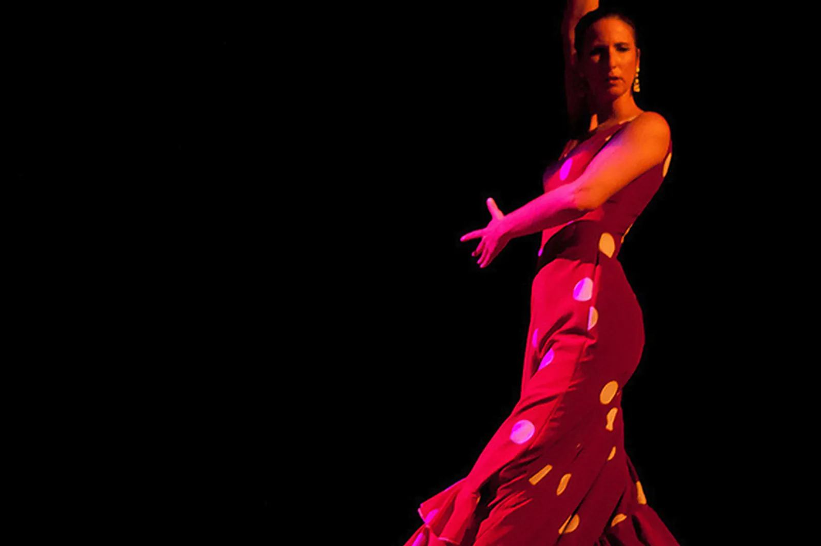 DJ & Groupes de musique, CIE FLAMENCA TEMPERAMENTO ANDALUZ