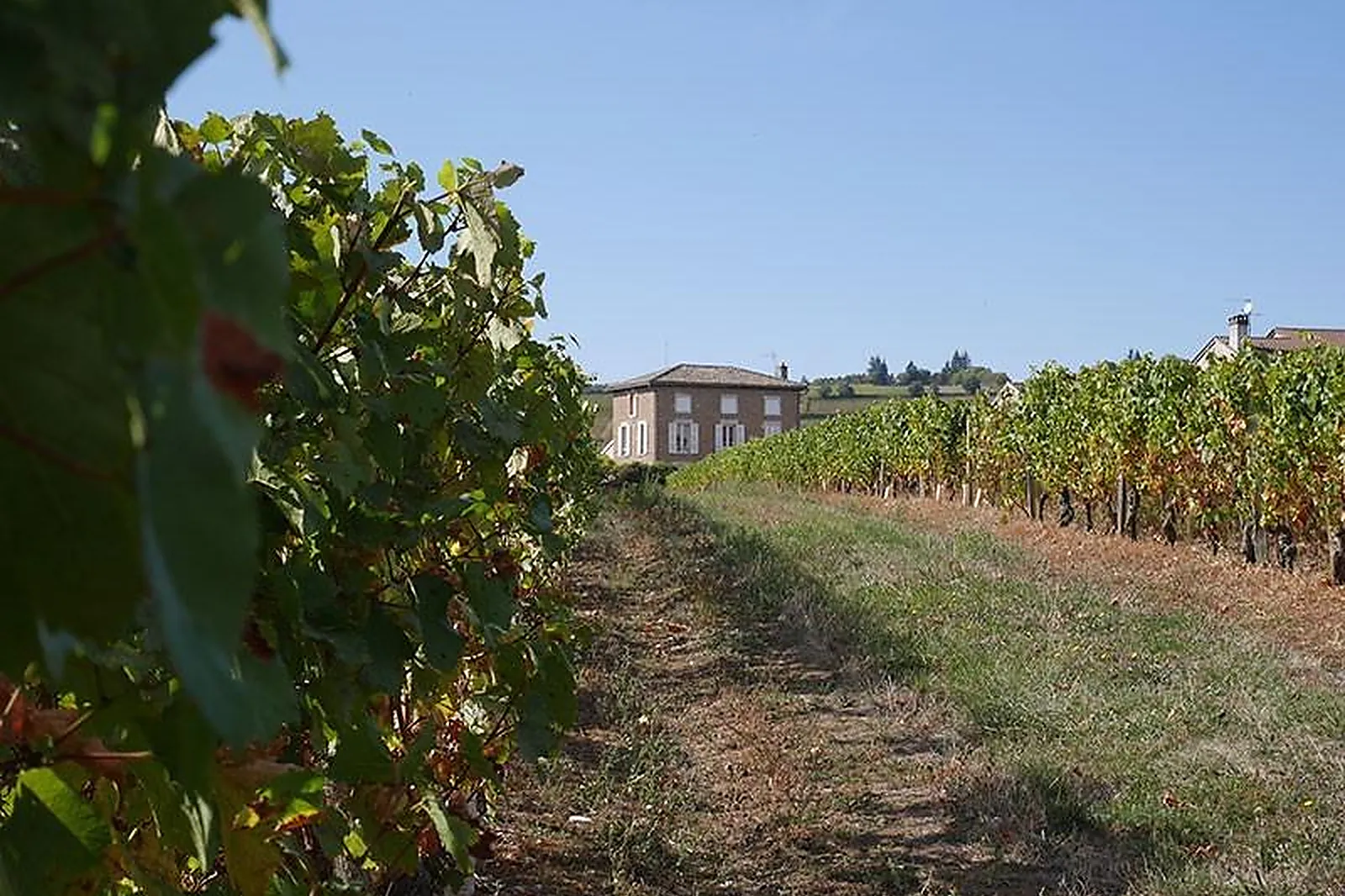 Lieux événementiels, 3 PAS SUR LE CÔTÉ