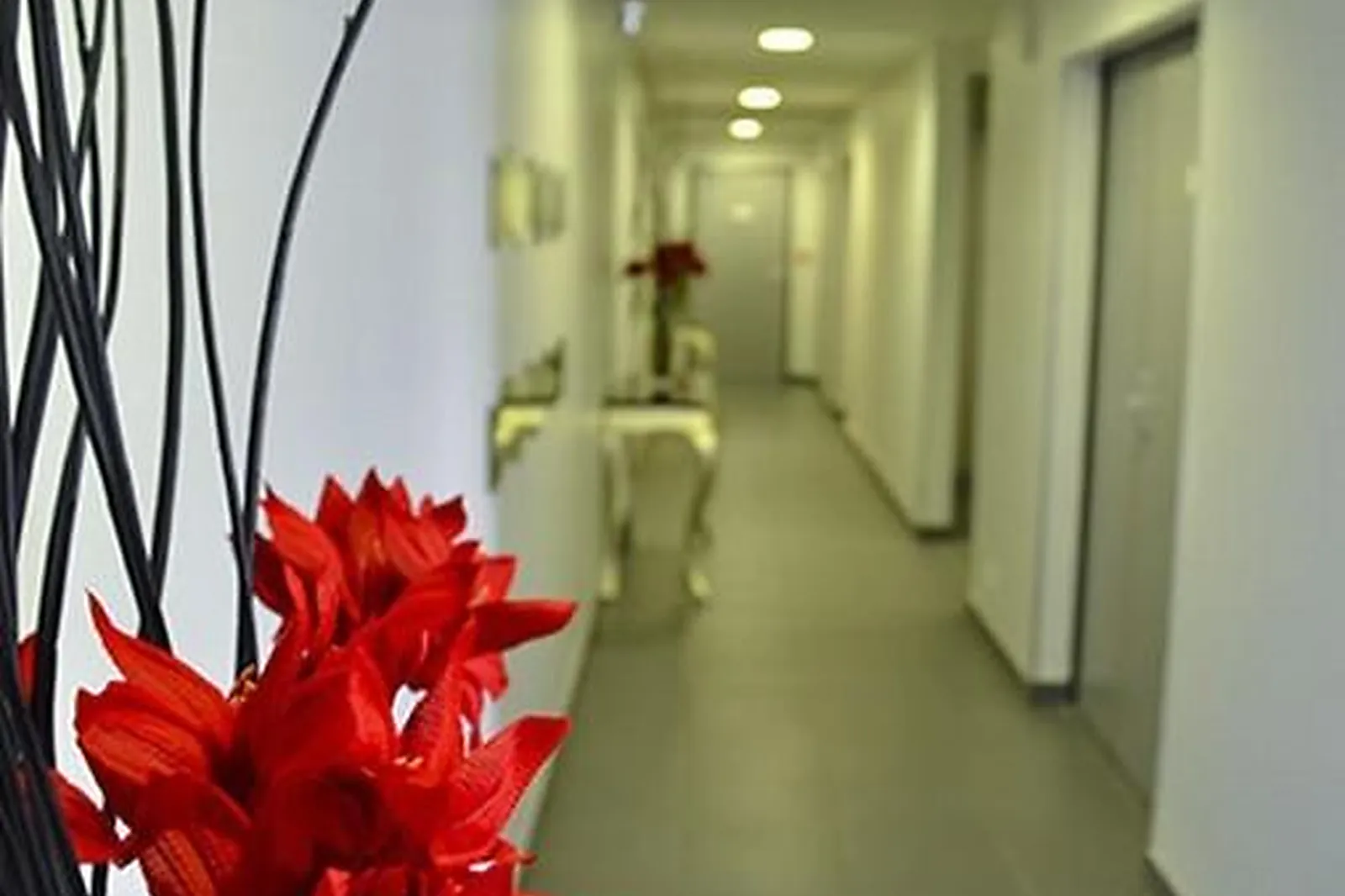 Lieux événementiels, ADONIS LA BAULE