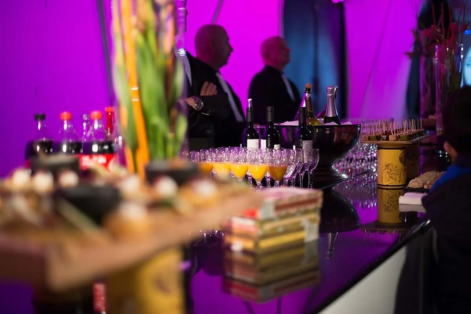 Lieux événementiels, AEROSCOPIA