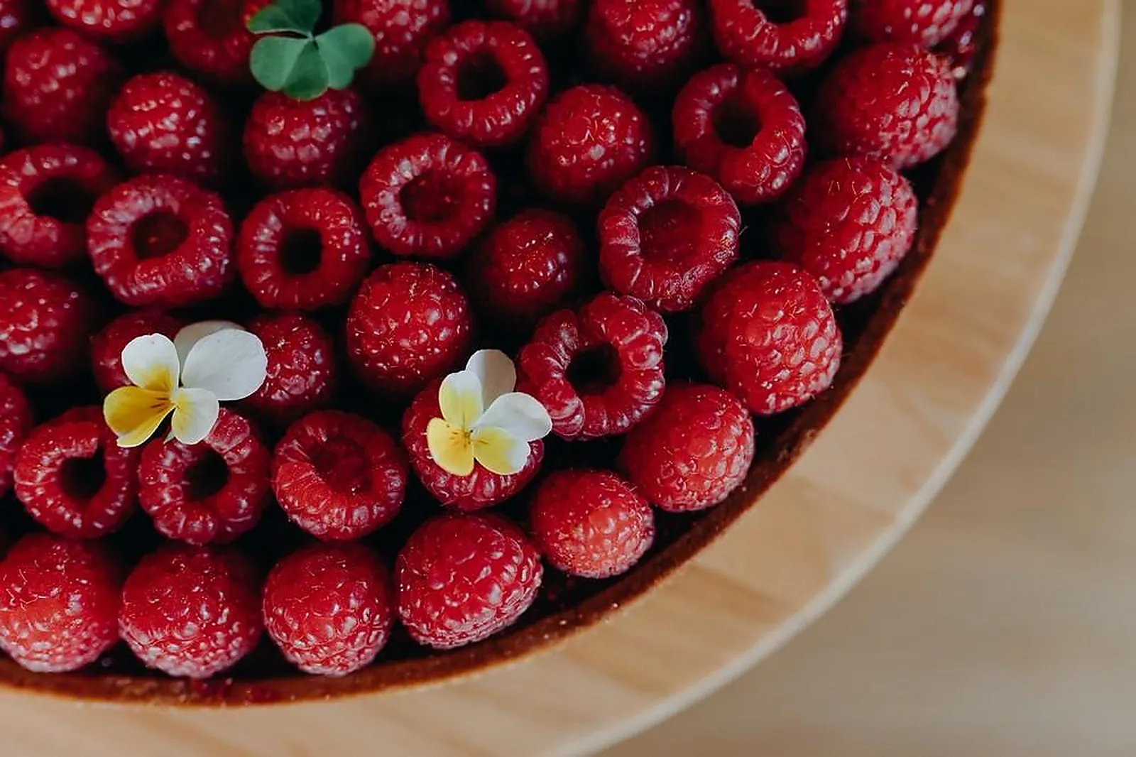 Lieux événementiels, ARMANCETTE HOTEL, CHALETS ET SPA