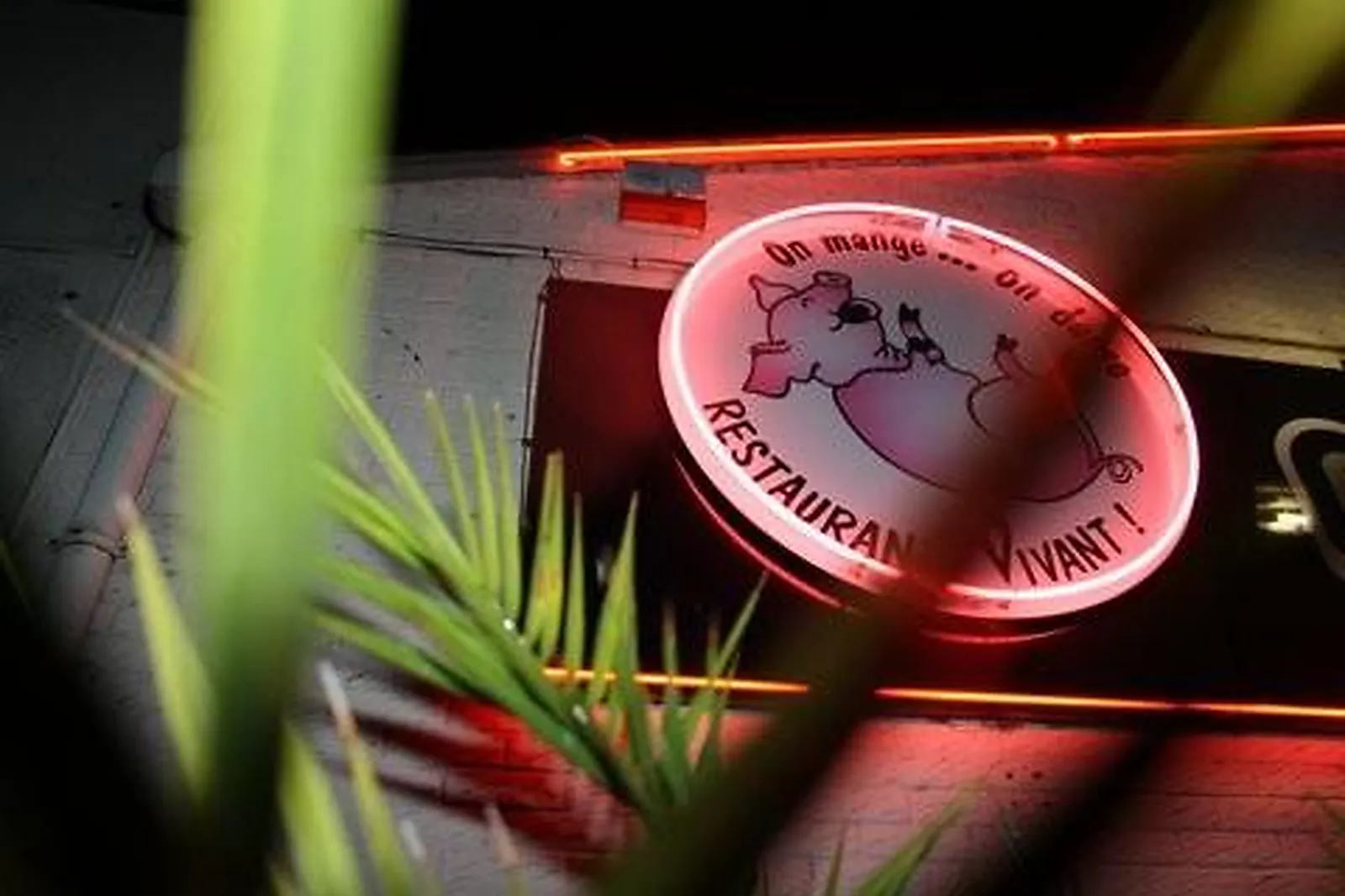 Lieux événementiels, AU COCHON QUI RIT