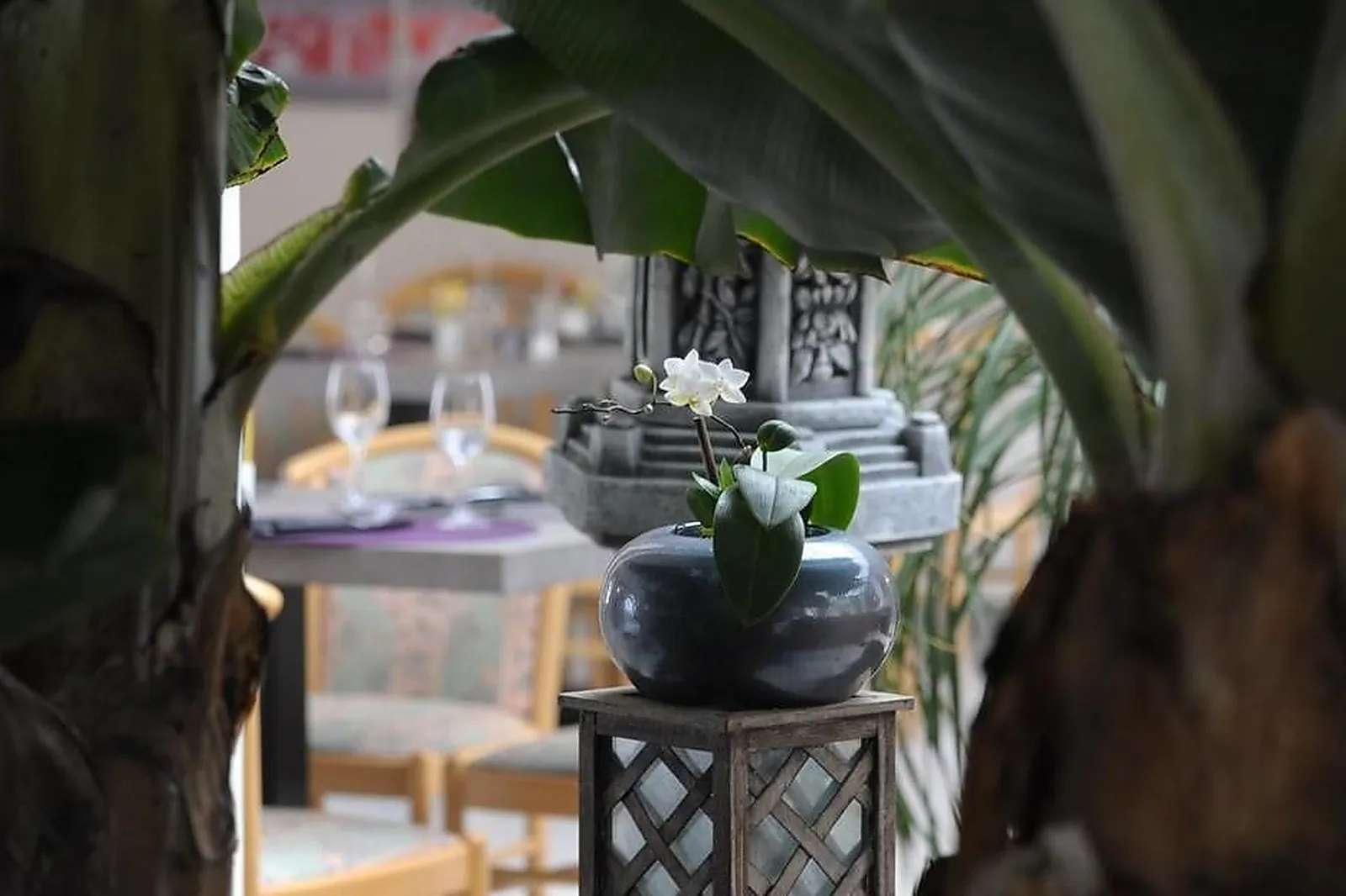 Lieux événementiels, AU SAUVAGE