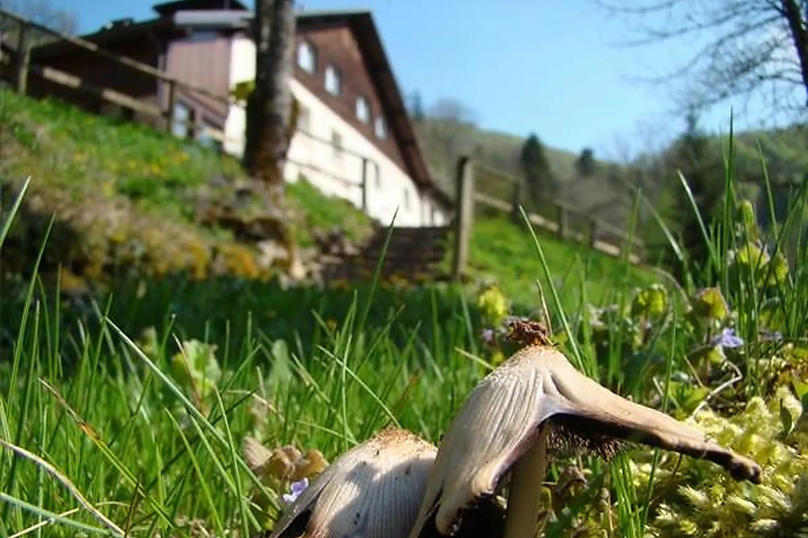 Lieux événementiels, AUBERGE LE MOULIN DU PLAIN