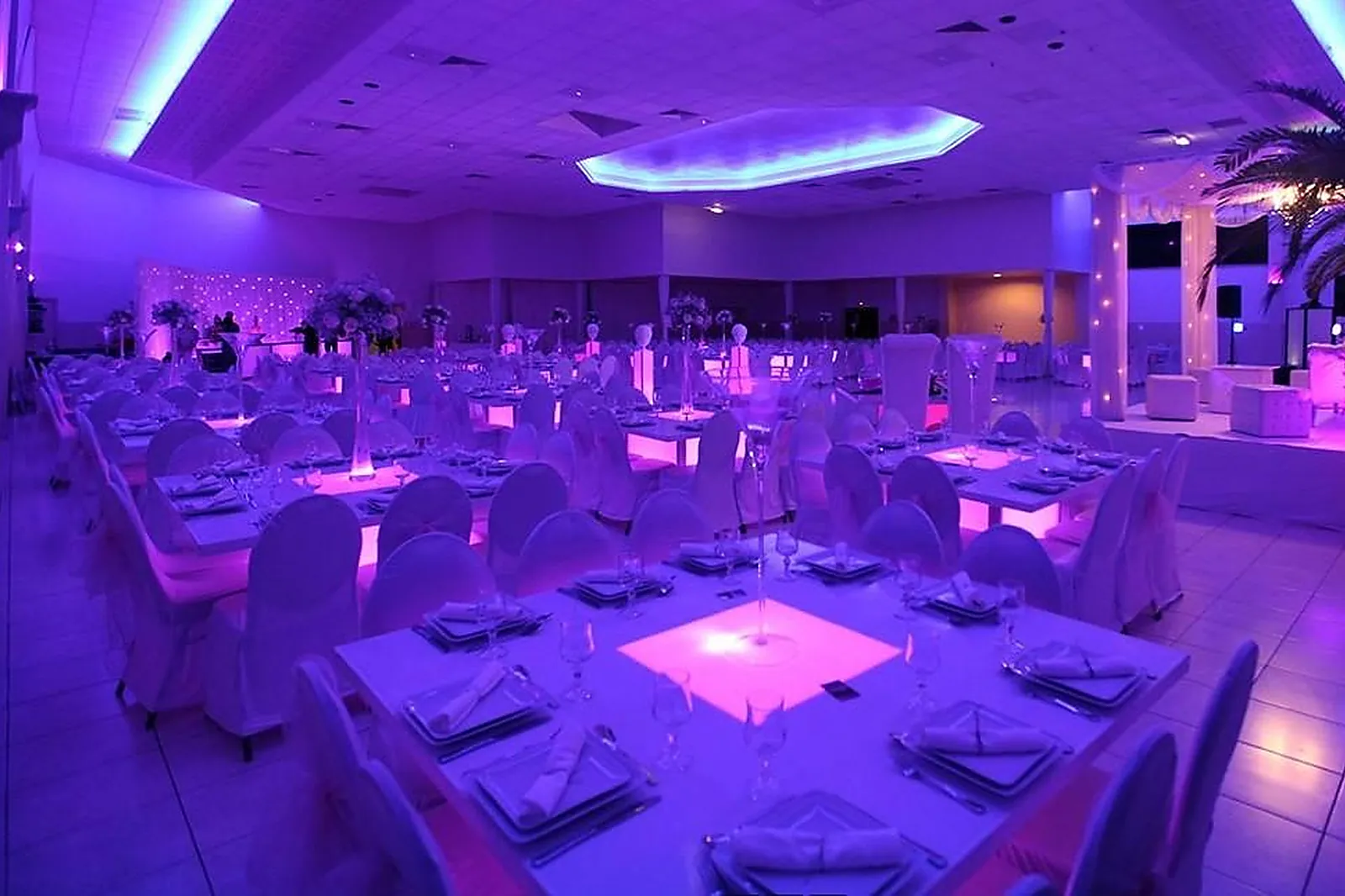 Lieux événementiels, AUX TULIPES