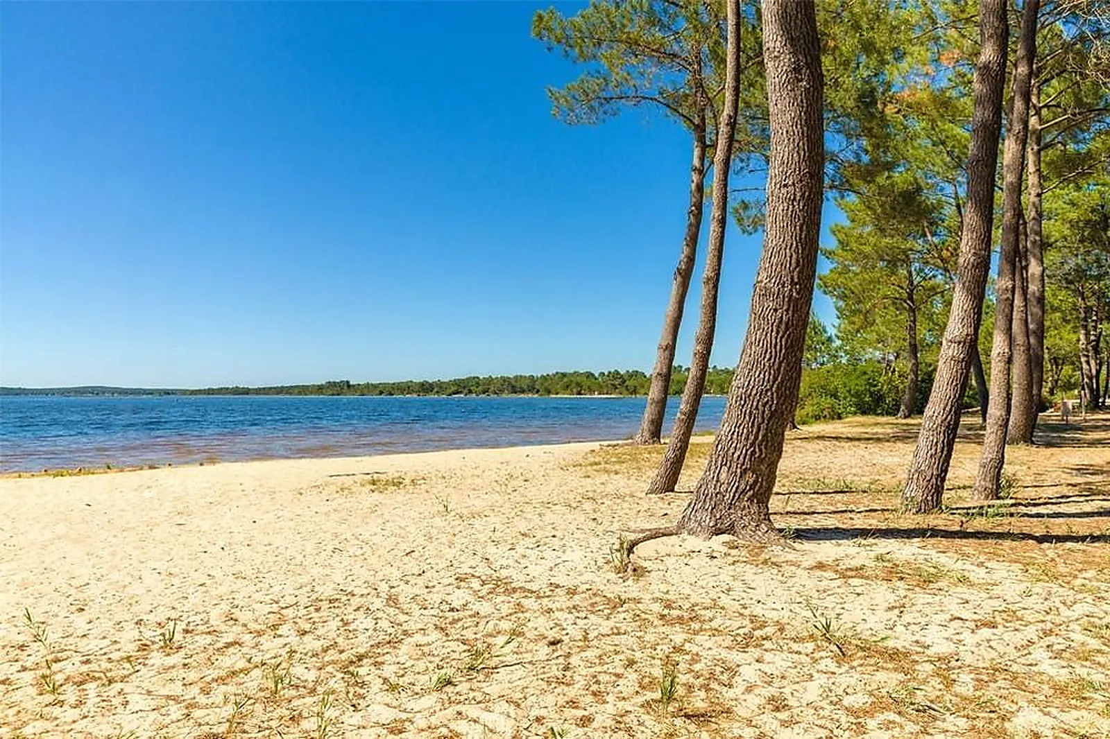 Lieux événementiels, AZUREVA LACANAU
