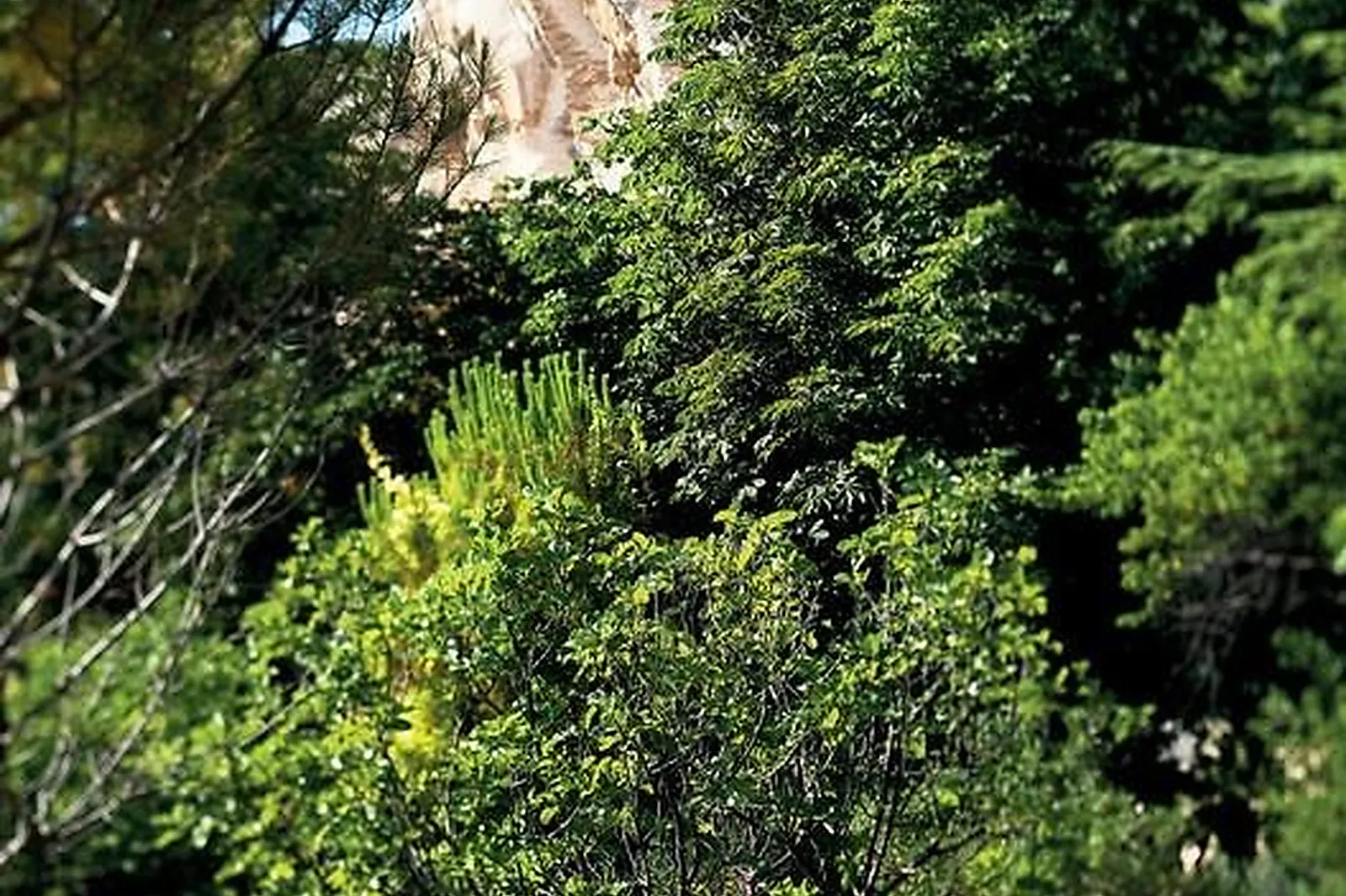 Lieux événementiels, BAUMANIÈRE LES BAUX DE PROVENCE