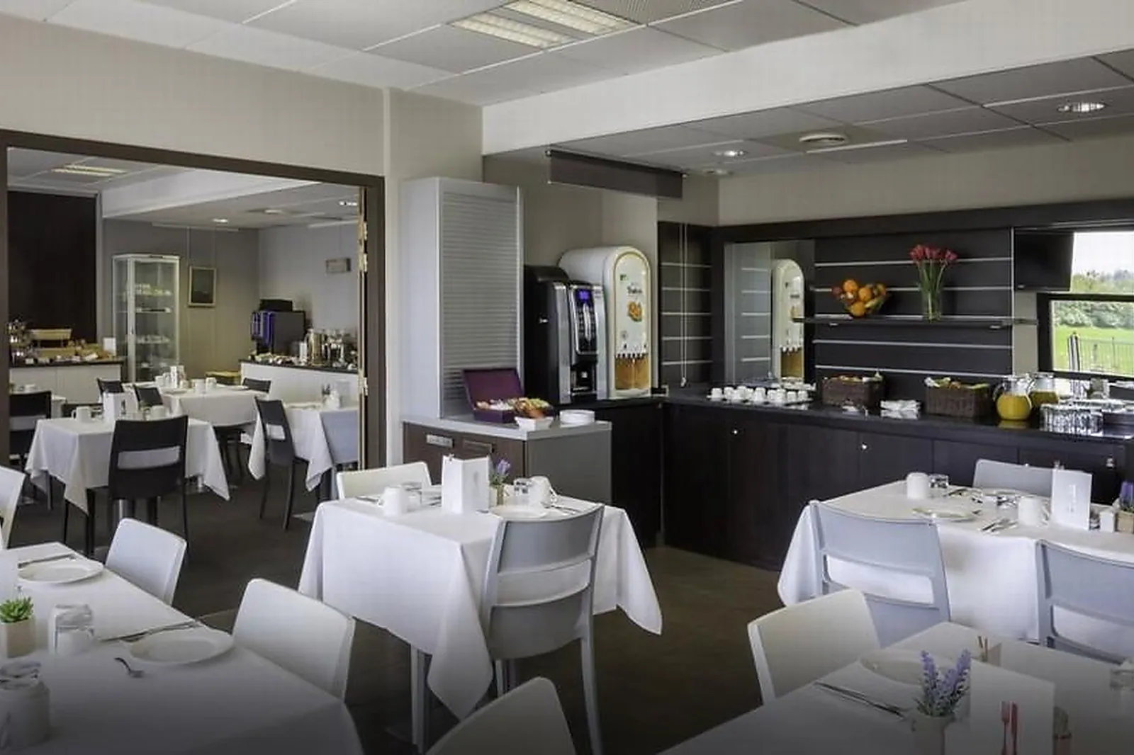 Lieux événementiels, BEST WESTERN PARK HÔTEL GENEVE-THOIRY