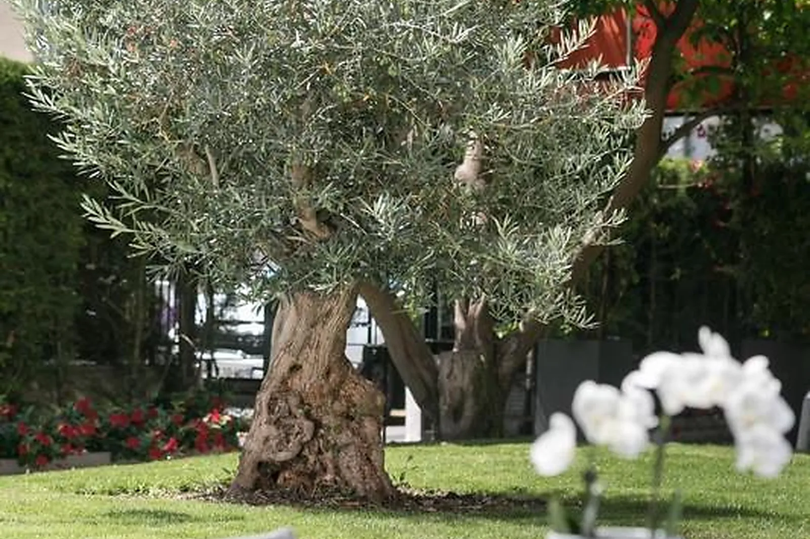 Lieux événementiels, BEST WESTERN PLUS HÔTEL BRICE GARDEN NICE