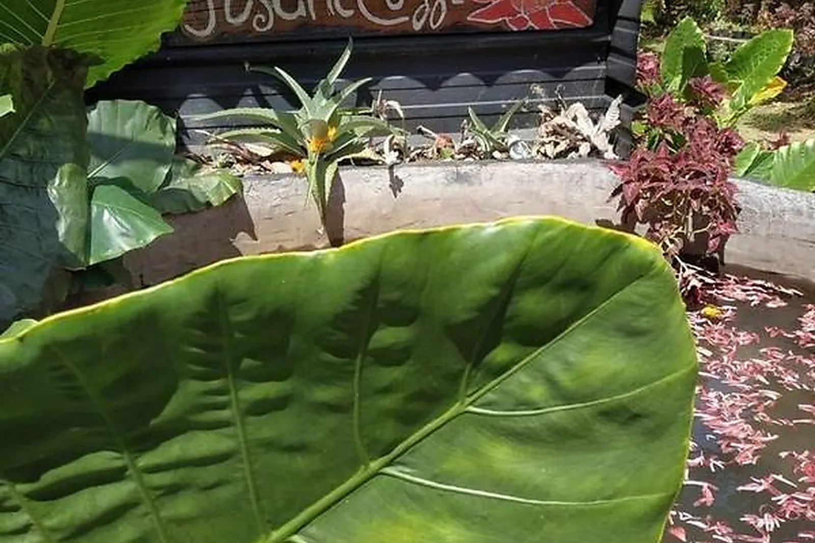 Lieux événementiels, BOULIKI BIO