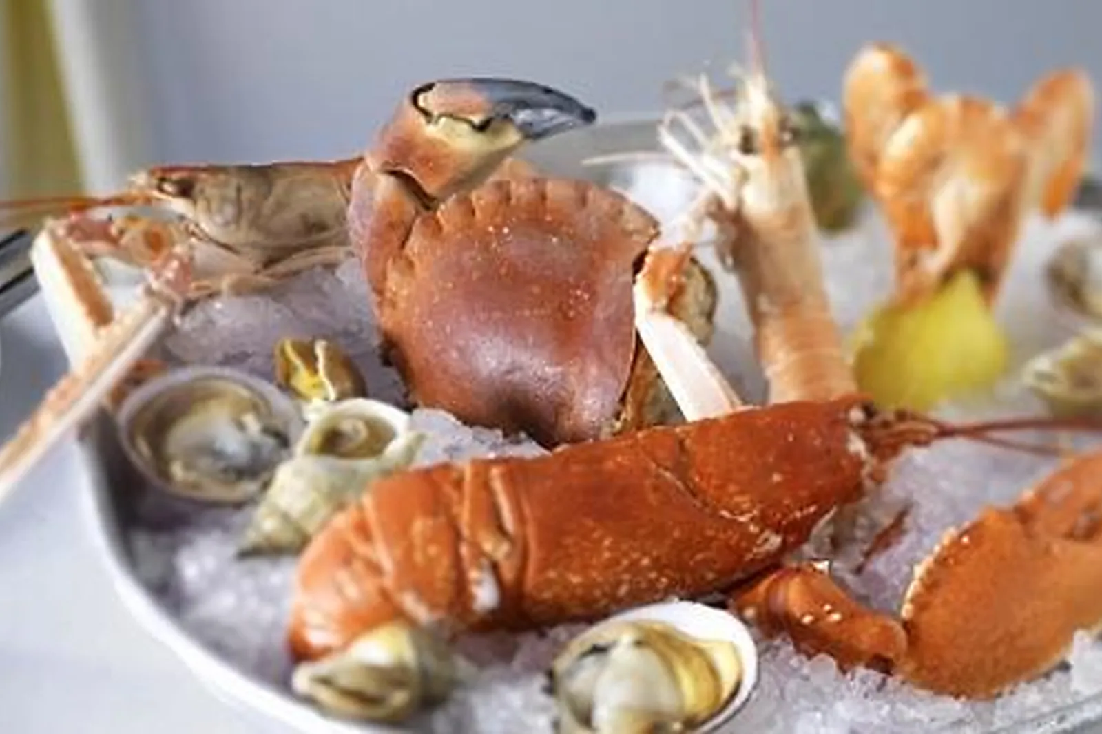 Lieux événementiels, BRASSERIE BOFINGER