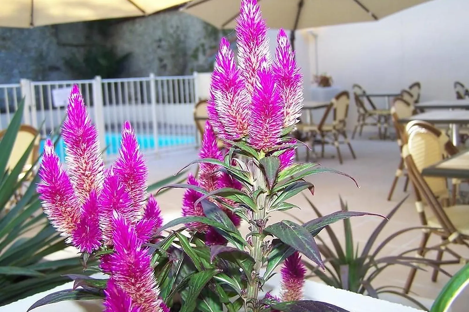 Lieux événementiels, BRIT HÔTEL AUCLAIR