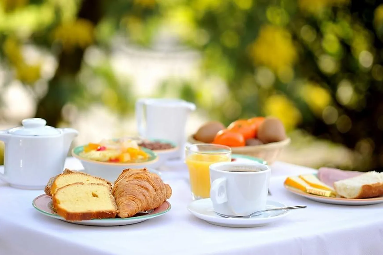 Lieux événementiels, BRIT HOTEL PAU-LONS