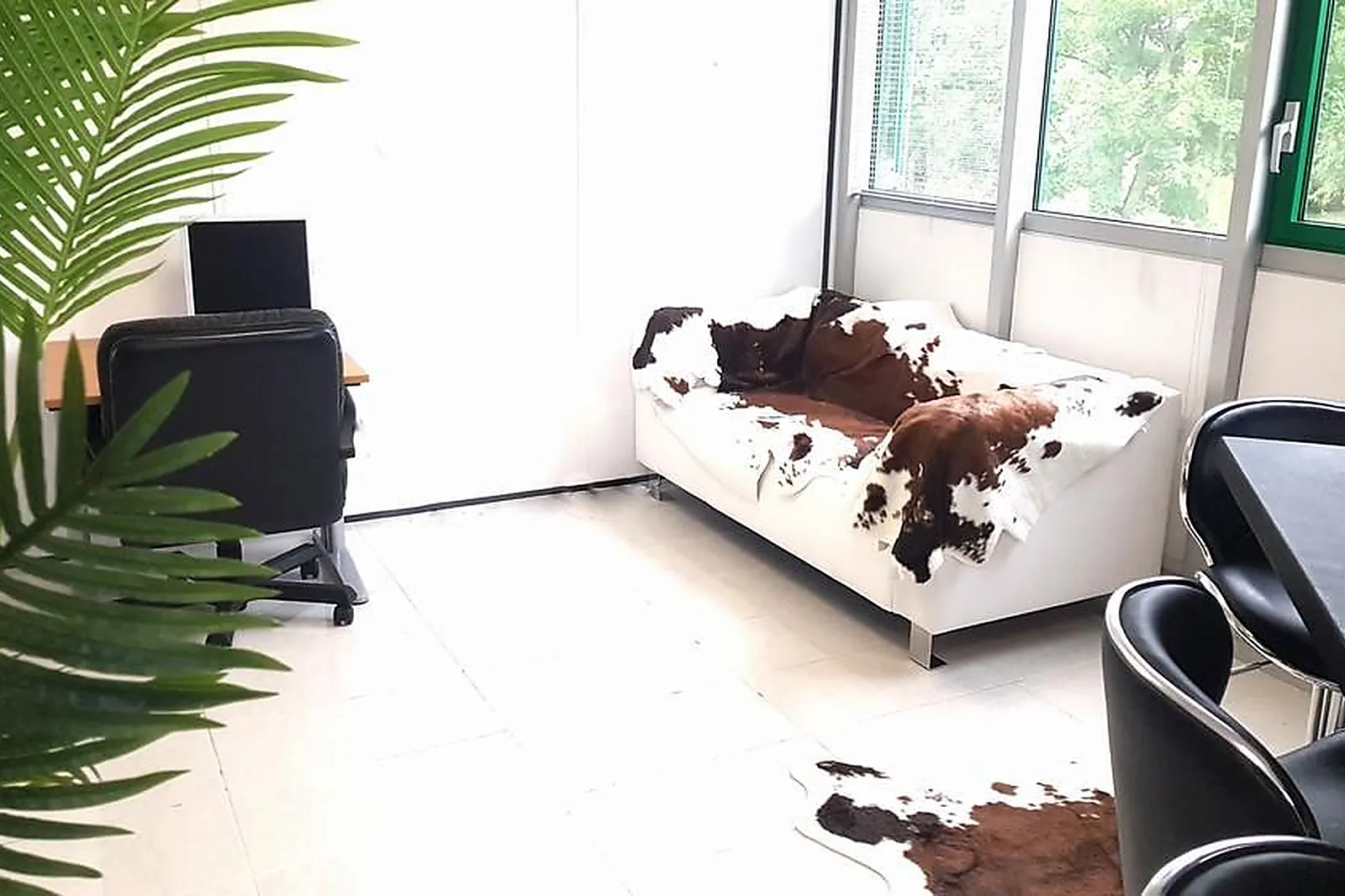 Lieux événementiels, BUSINESS CENTER