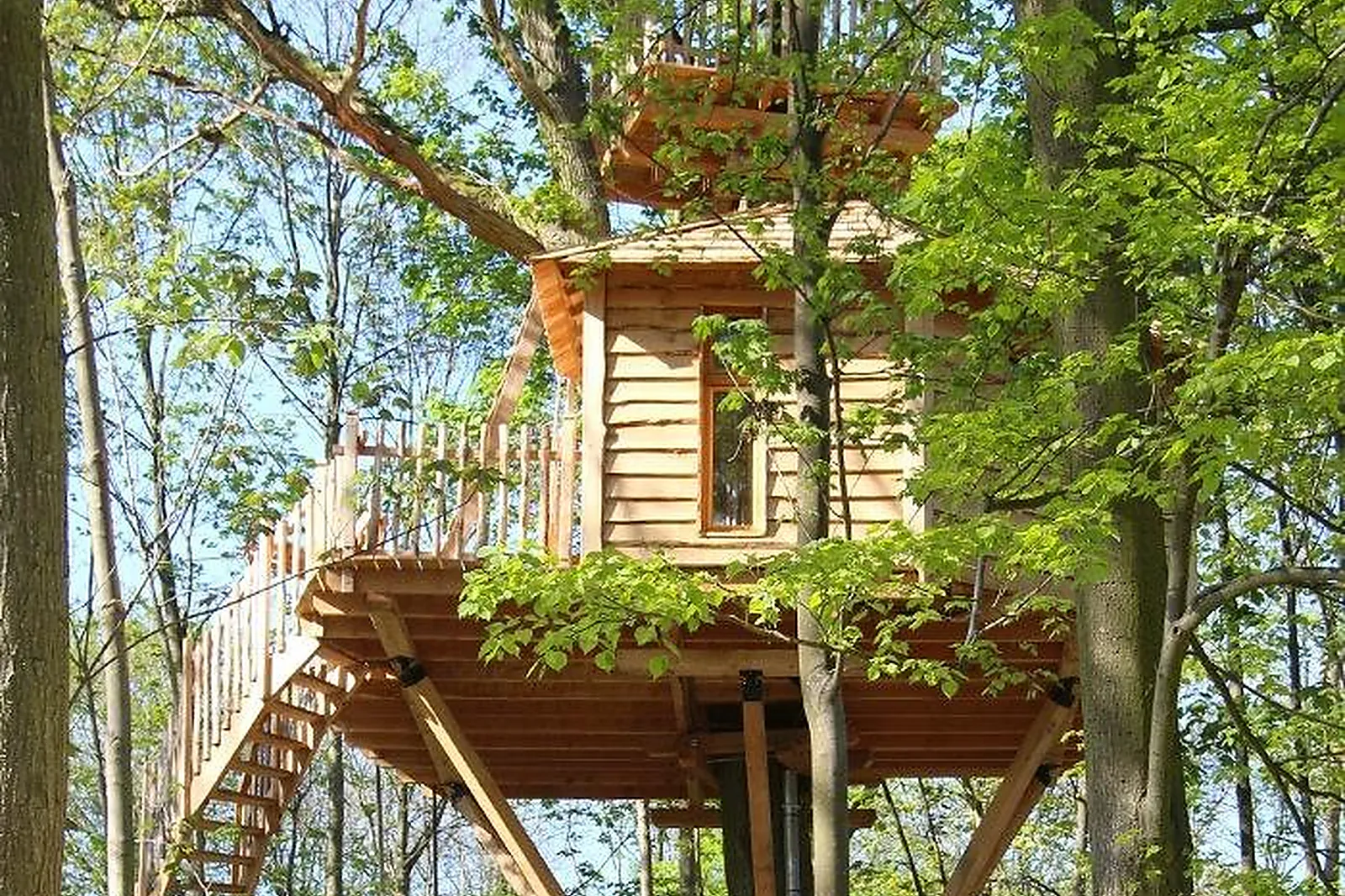 Lieux événementiels, CABANES DES GRANDS CHÊNES