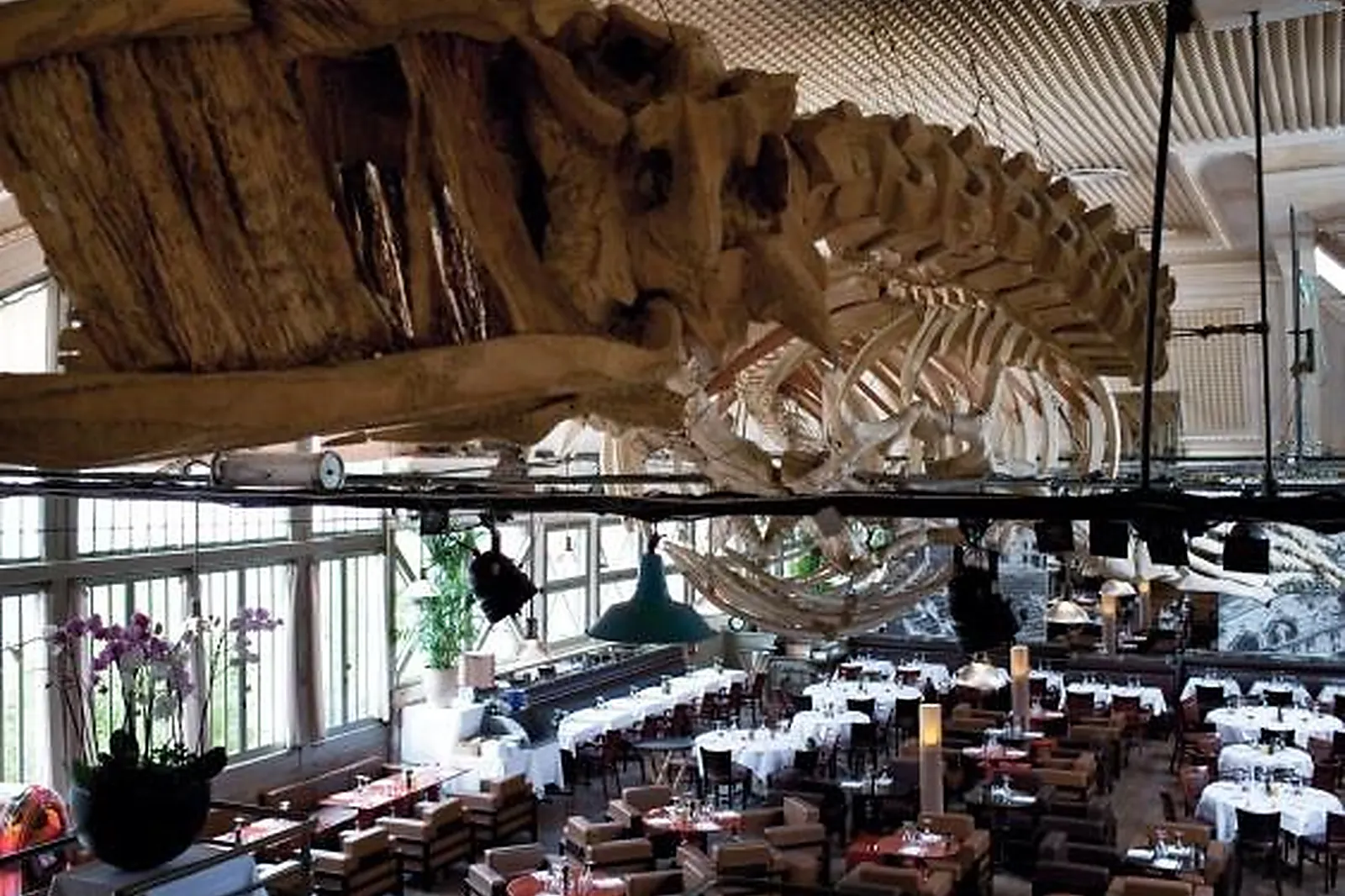 Lieux événementiels, CAFÉ DE LA JATTE