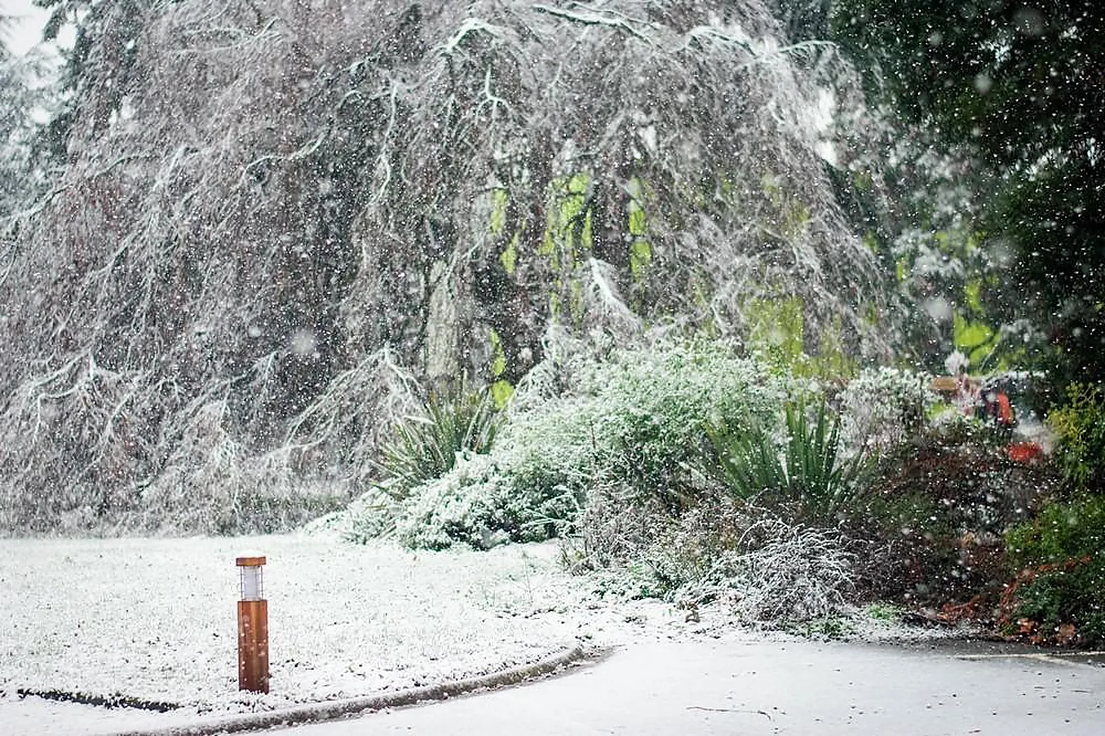Lieux événementiels, CAMPUS LA MOUILLÈRE