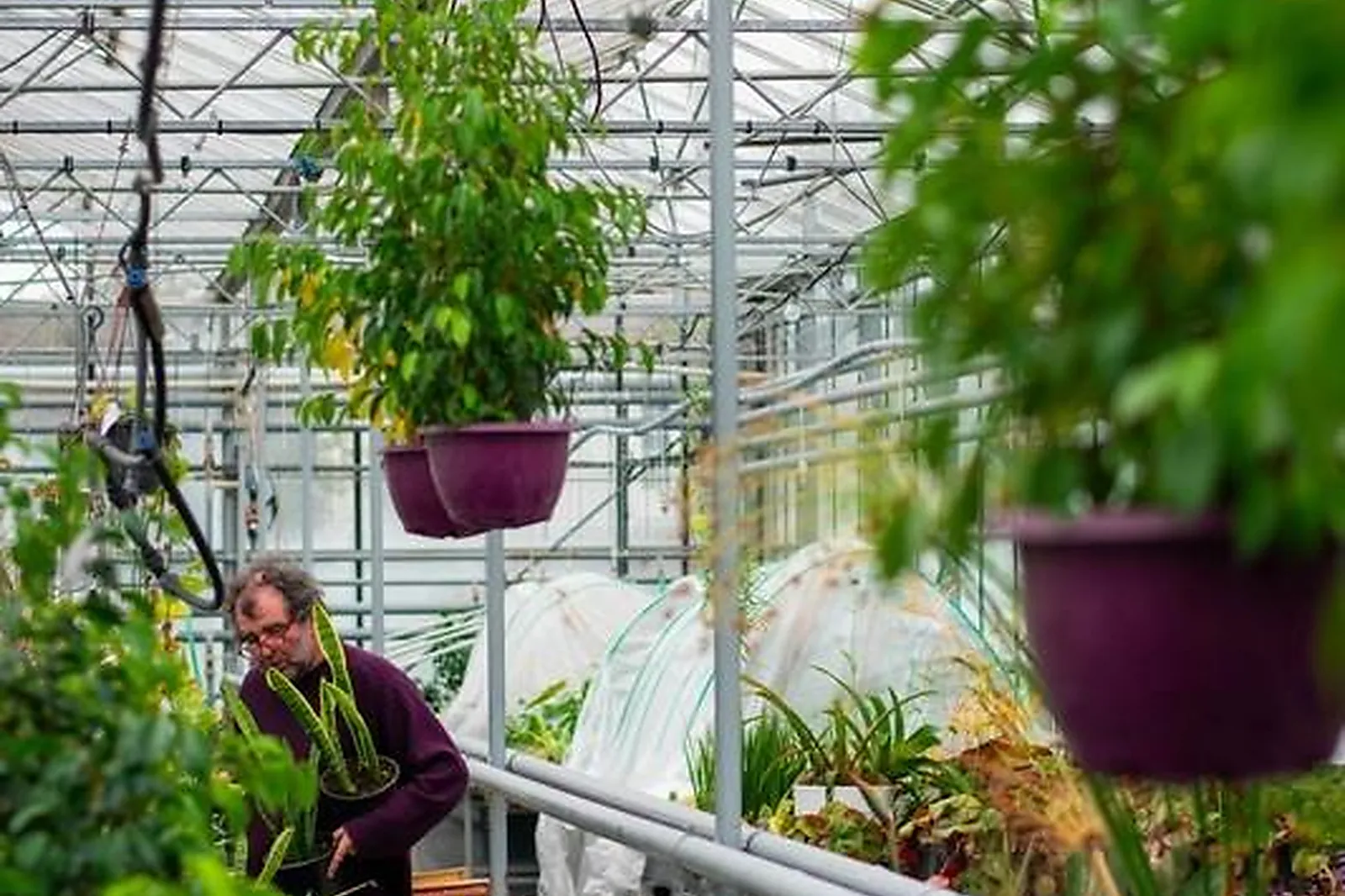 Lieux événementiels, CAMPUS LA MOUILLÈRE