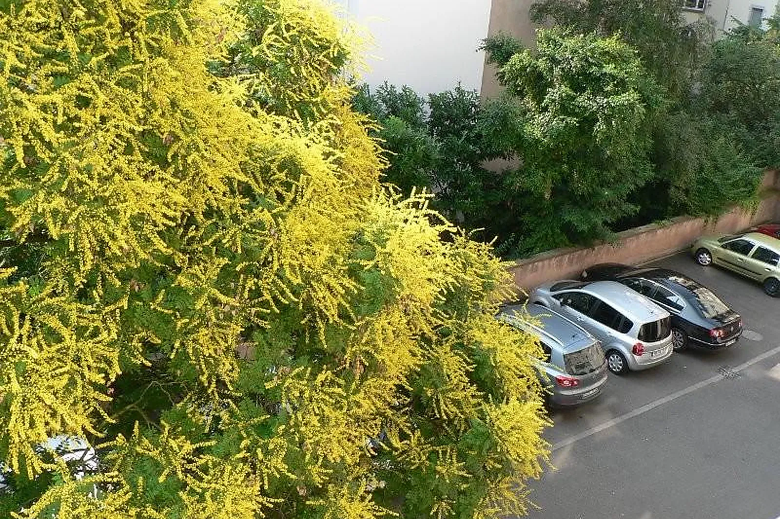 Lieux événementiels, CAP EUROPE APPART HÔTEL