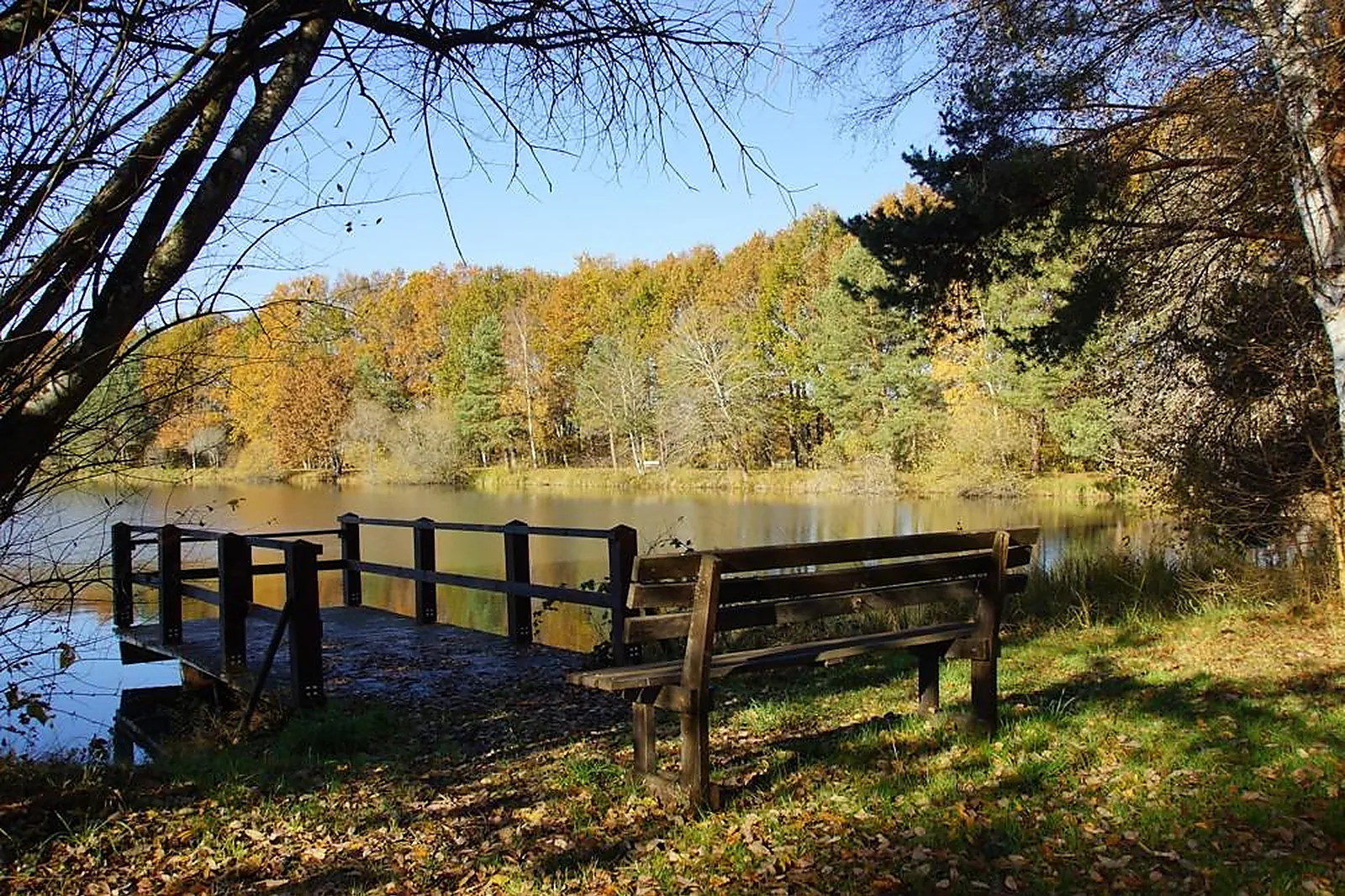 Lieux événementiels, CAP FRANCE - FERME DE COURCIMONT