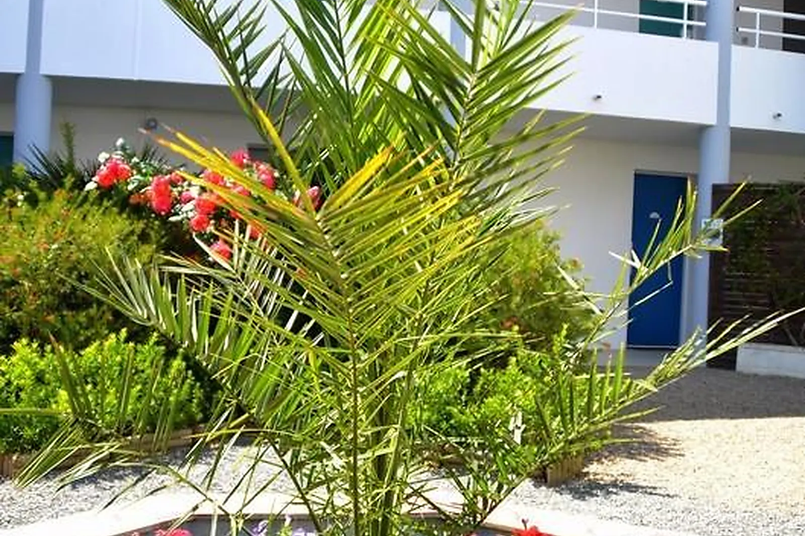 Lieux événementiels, CAP FRANCE - LA RIVIÈRE