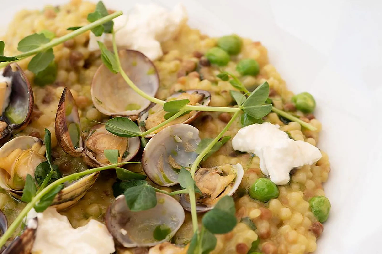 Lieux événementiels, CARMELA