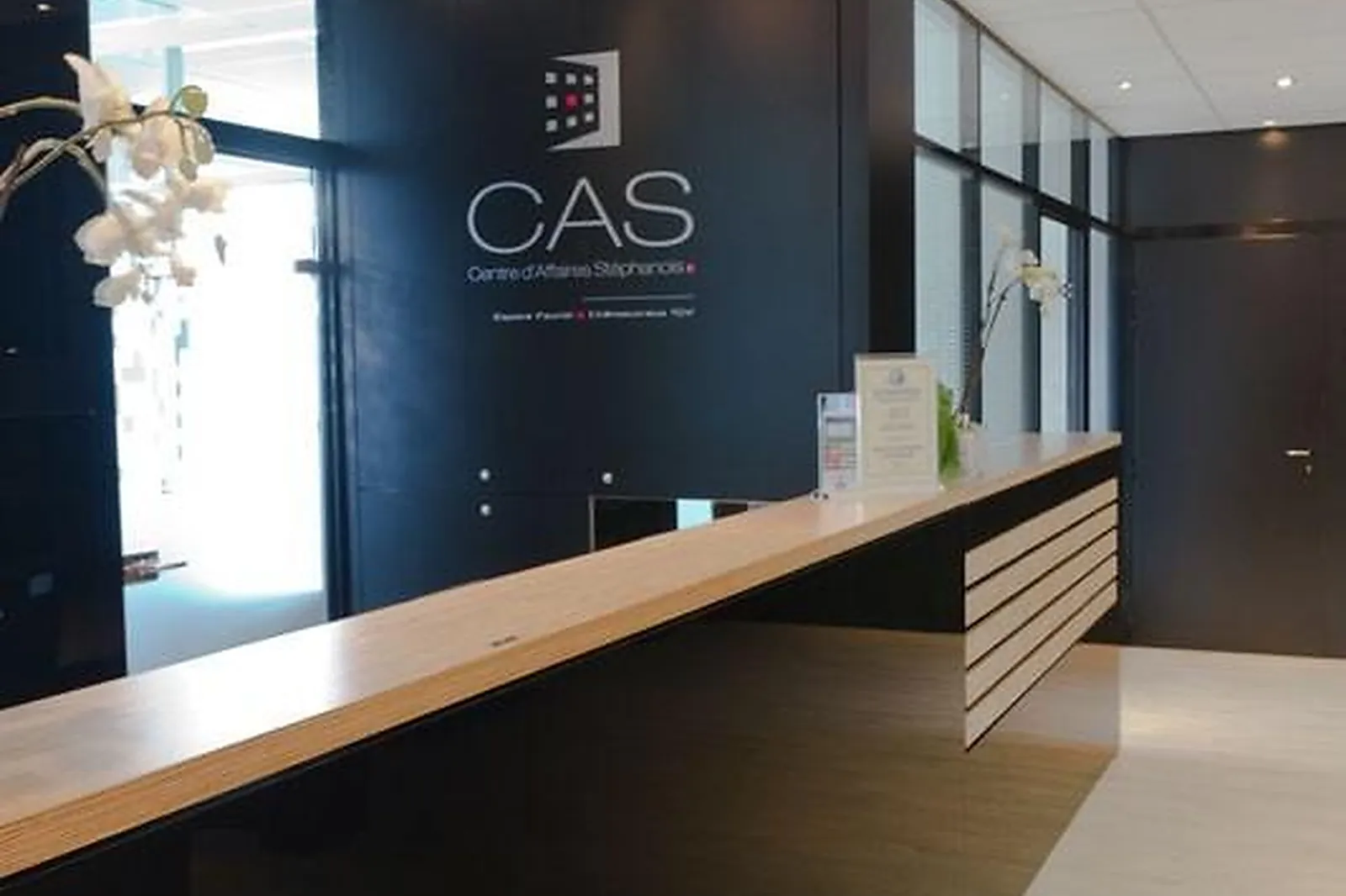 Lieux événementiels, CENTRE D'AFFAIRES STÉPHANOIS - ESPACE FAURIEL