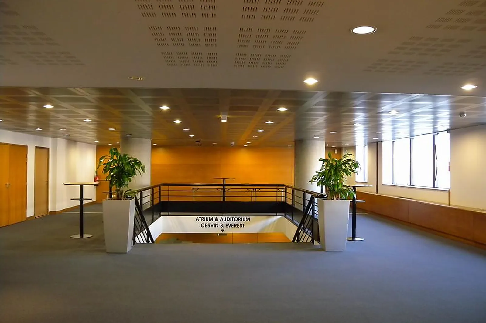 Lieux événementiels, CENTRE DE CONGRÈS DU WORLD TRADE CENTER GRENOBLE