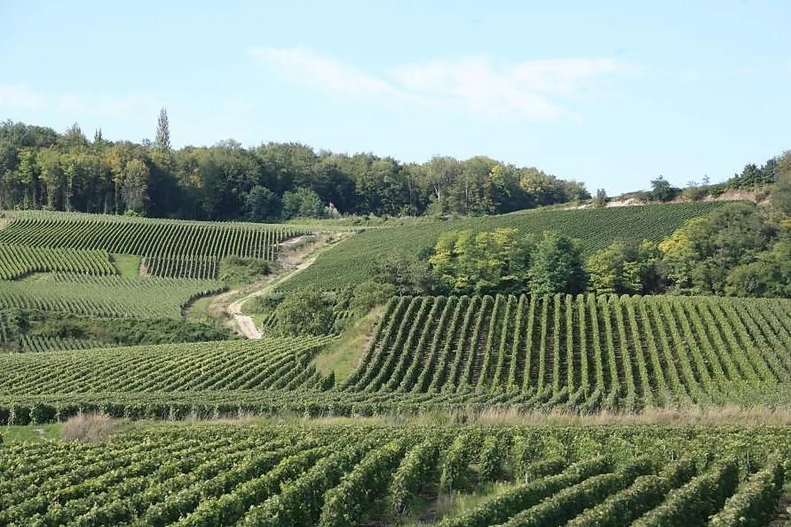 Lieux événementiels, CHAMPAGNE DE L'ARGENTAINE