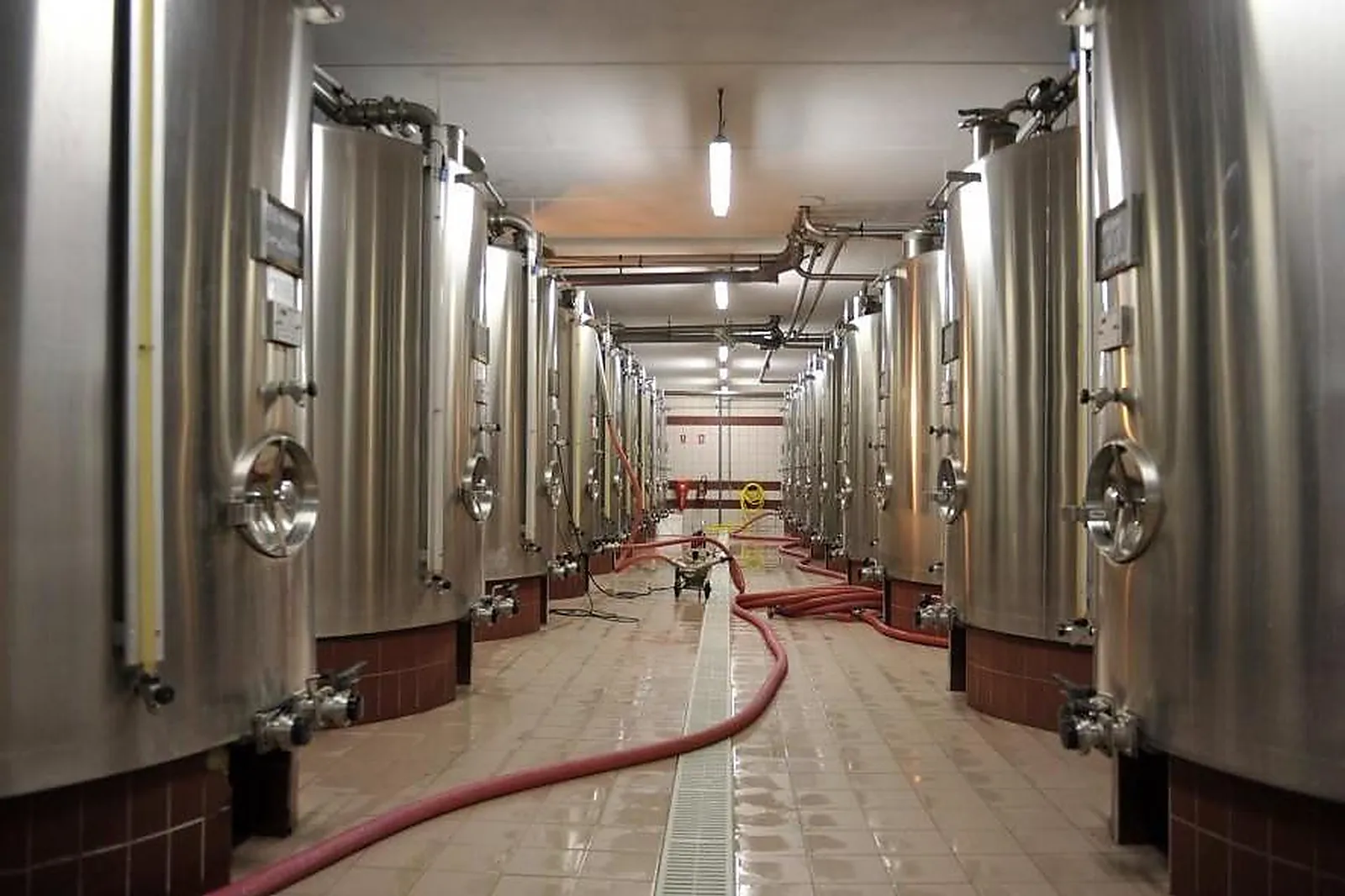 Lieux événementiels, CHAMPAGNE DE L'ARGENTAINE