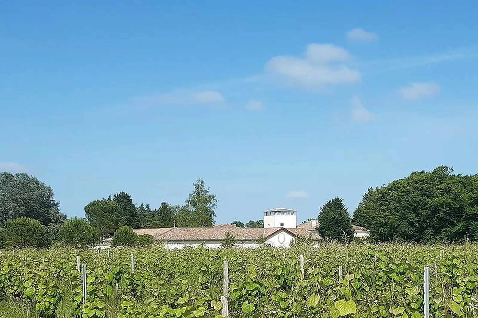 Lieux événementiels, CHÂTEAU BONE