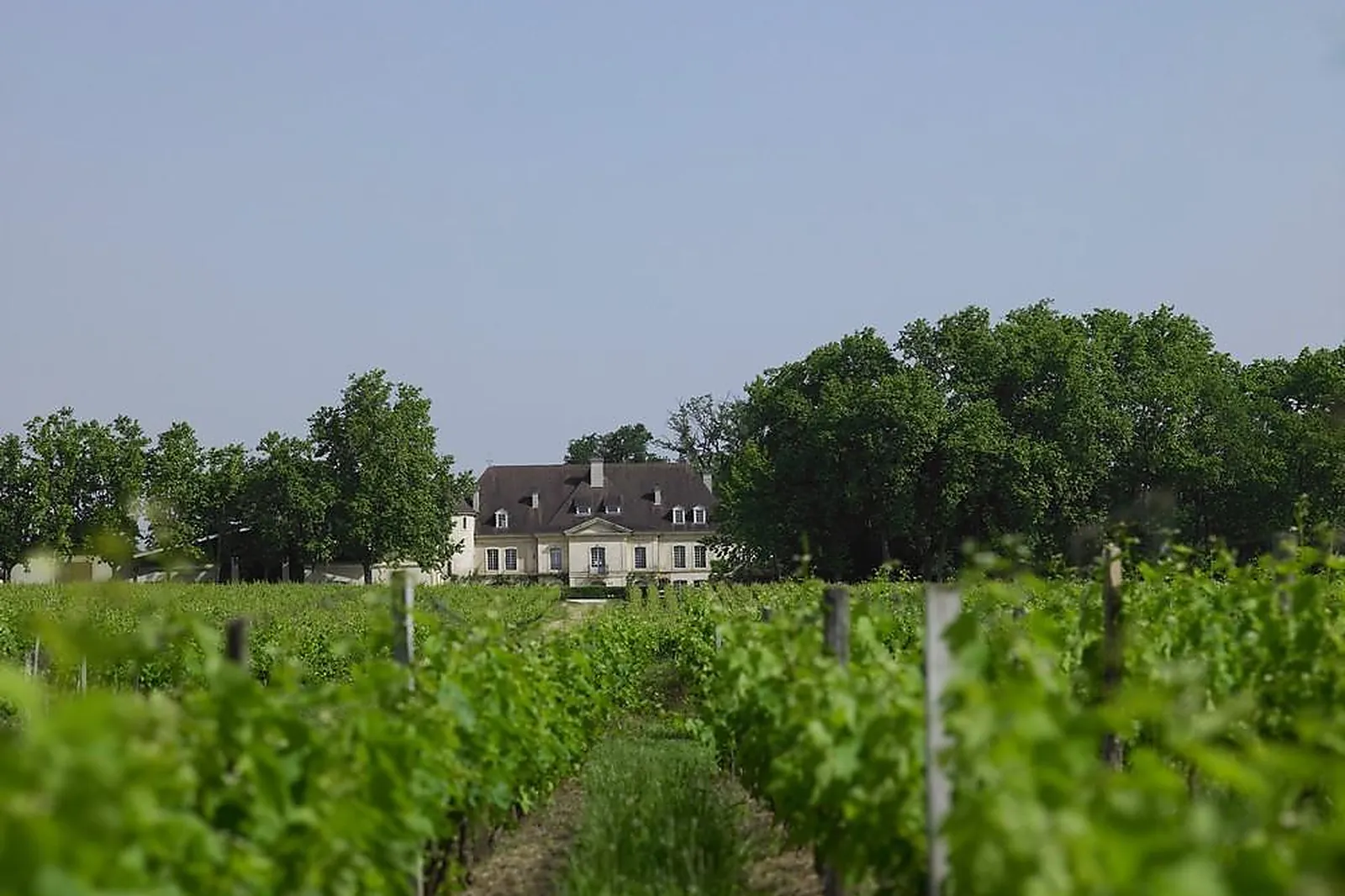 Lieux événementiels, CHÂTEAU BOUSCAUT