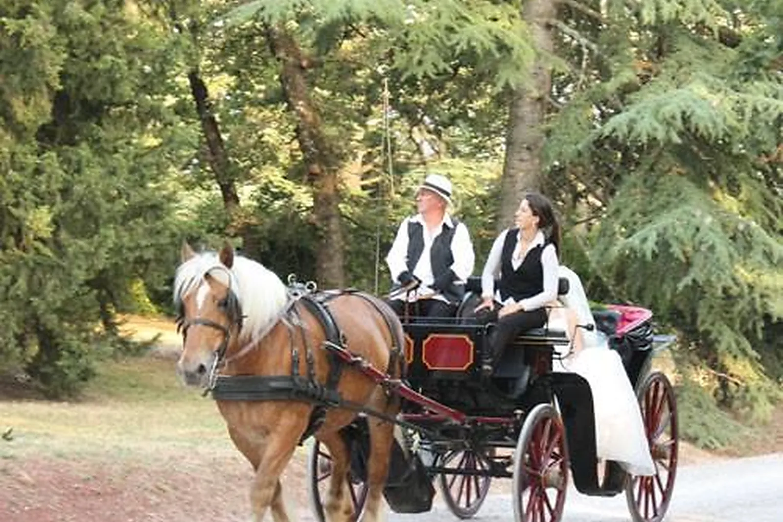 Lieux événementiels, CHÂTEAU COLBERT CANNET