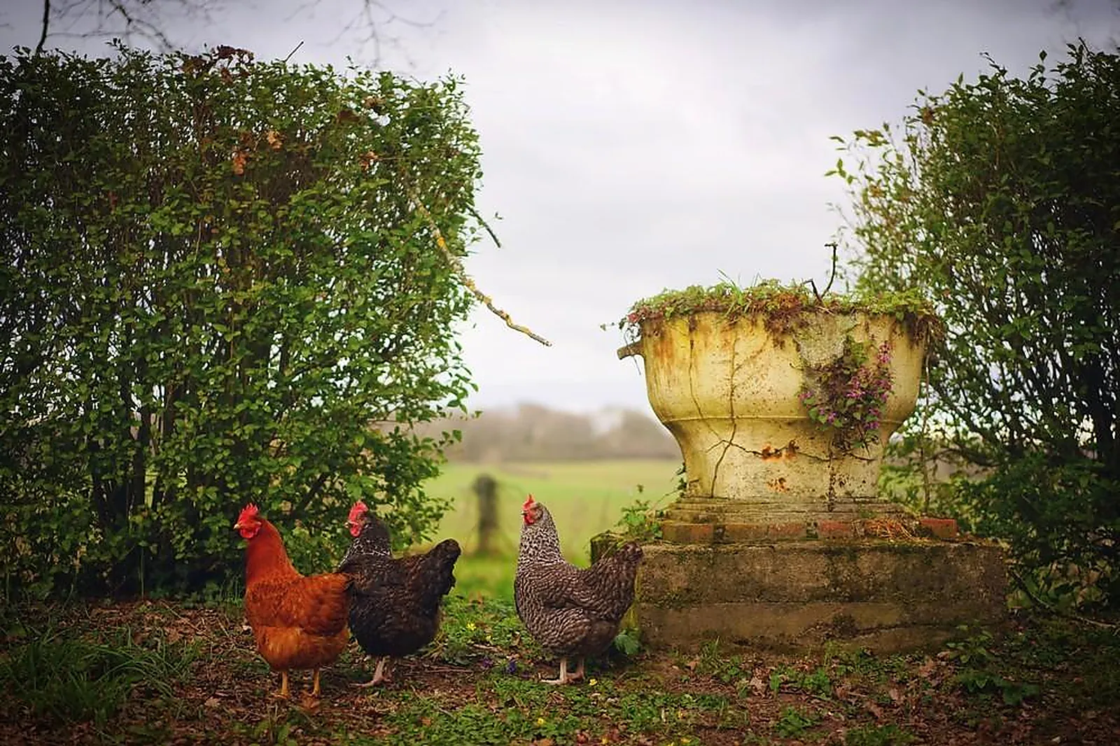 Lieux événementiels, CHÂTEAU LE SALLAY