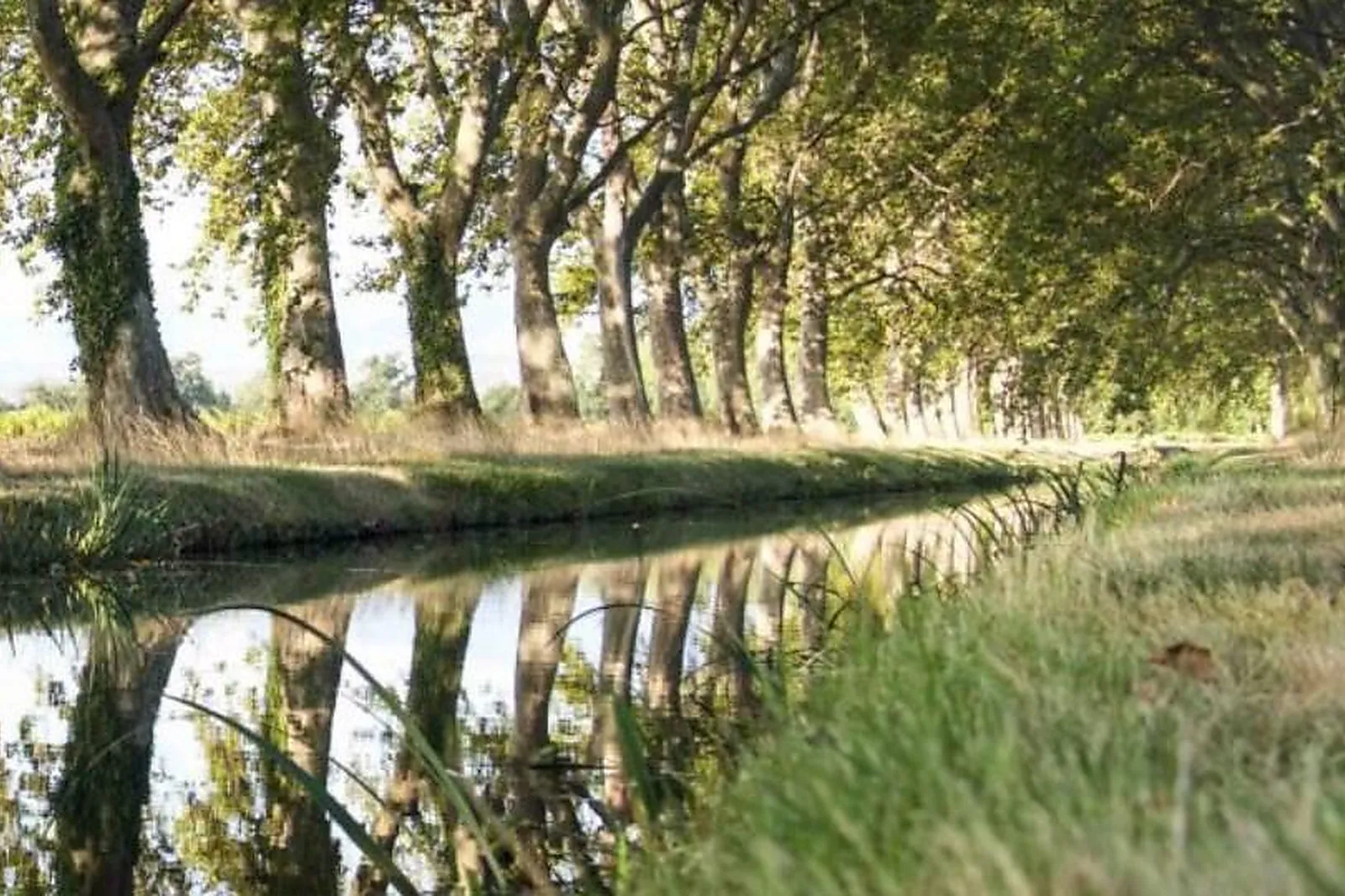 Lieux événementiels, CHÂTEAU NADAL HAINAUT