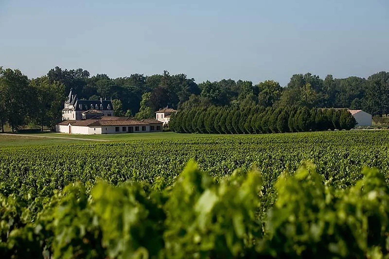 Lieux événementiels, CHÂTEAU OLIVIER