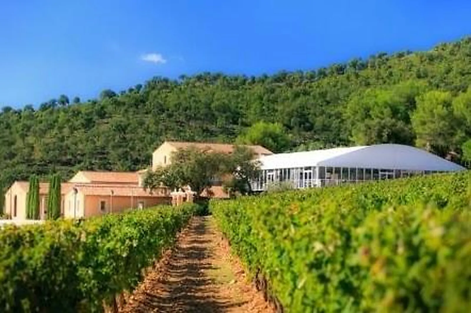 Lieux événementiels, CHÂTEAU PAS DU CERF
