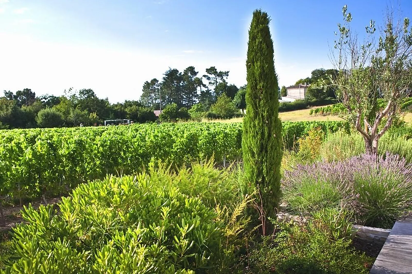 Lieux événementiels, CHÂTEAU PASCOT