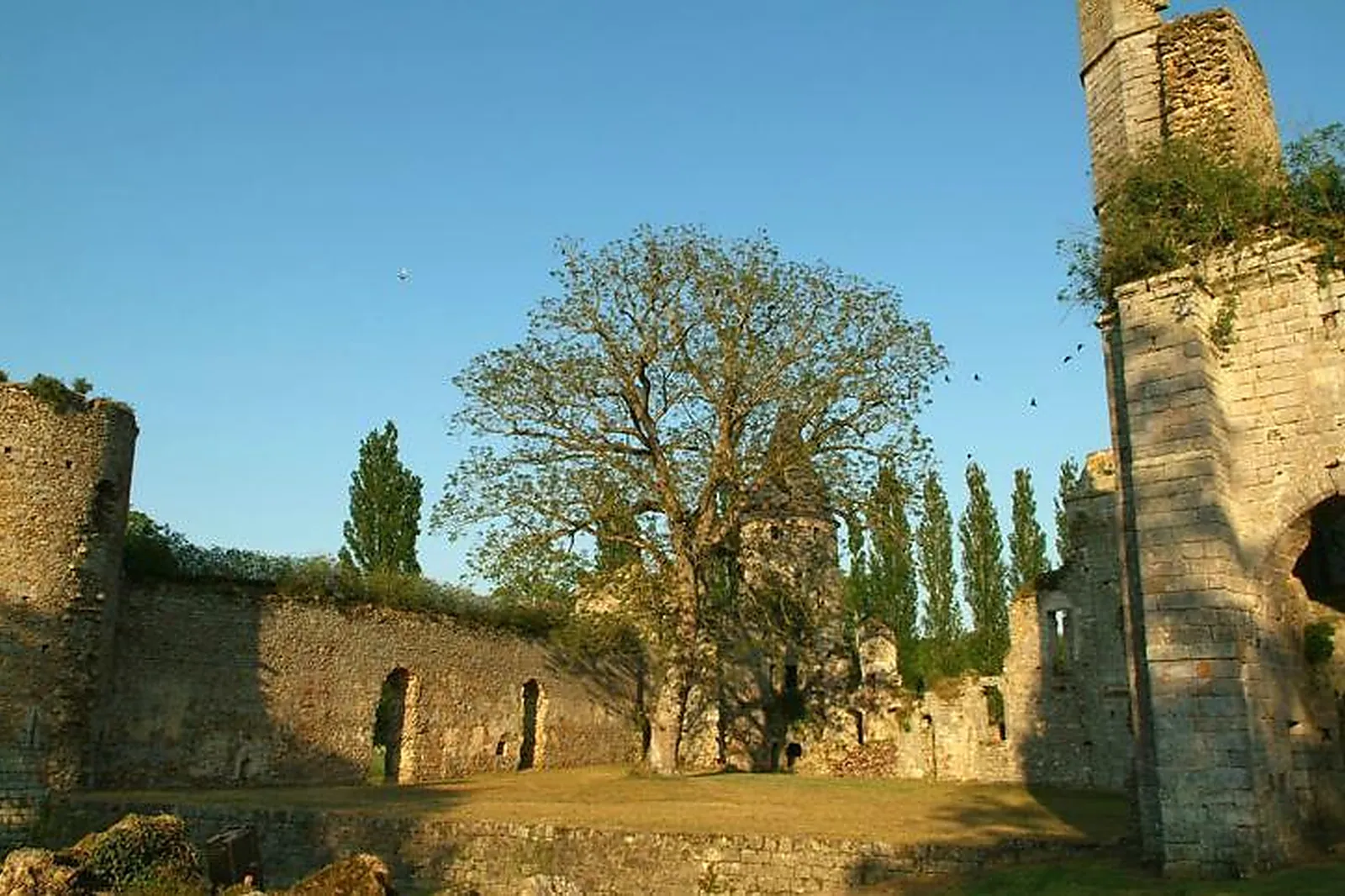 Lieux événementiels, CHÂTEAU ROYAL DU VIVIER