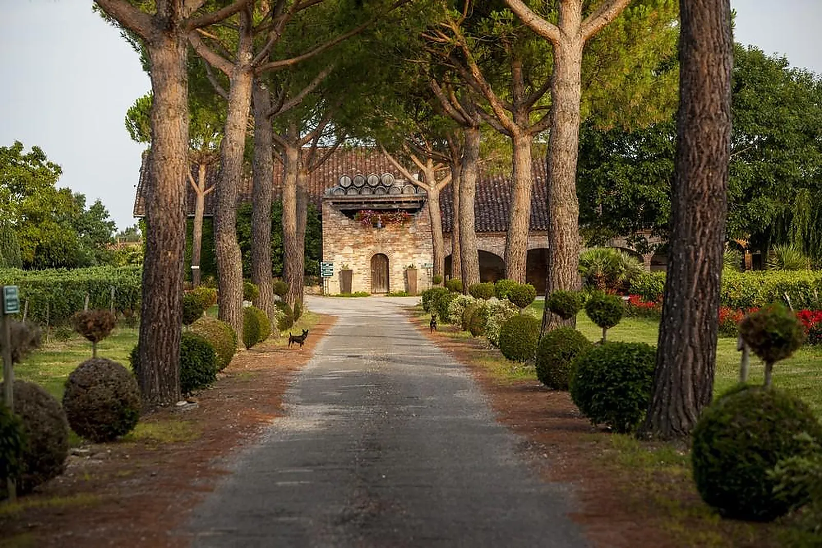 Lieux événementiels, CHÂTEAU SAINT LOUIS