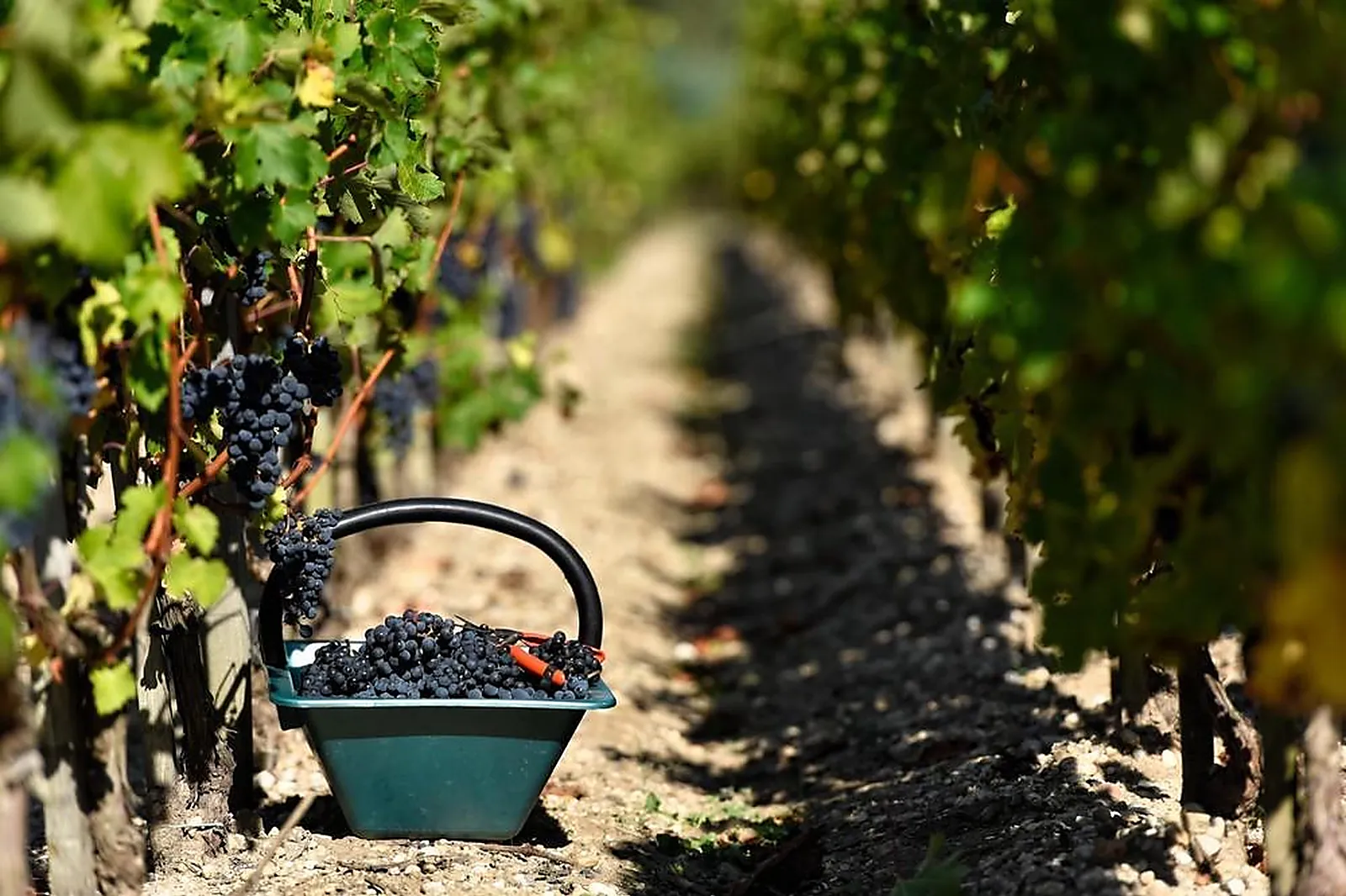 Lieux événementiels, CHÂTEAU SIRAN