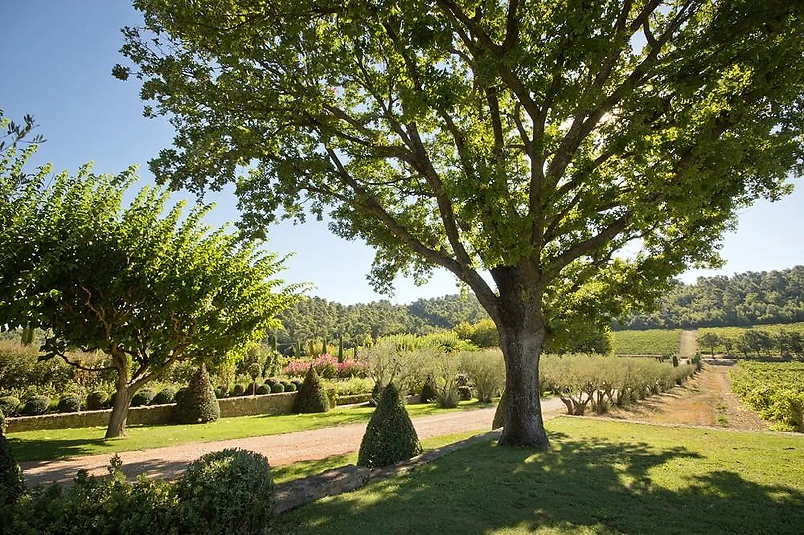 Lieux événementiels, CHÂTEAU VAL JOANIS