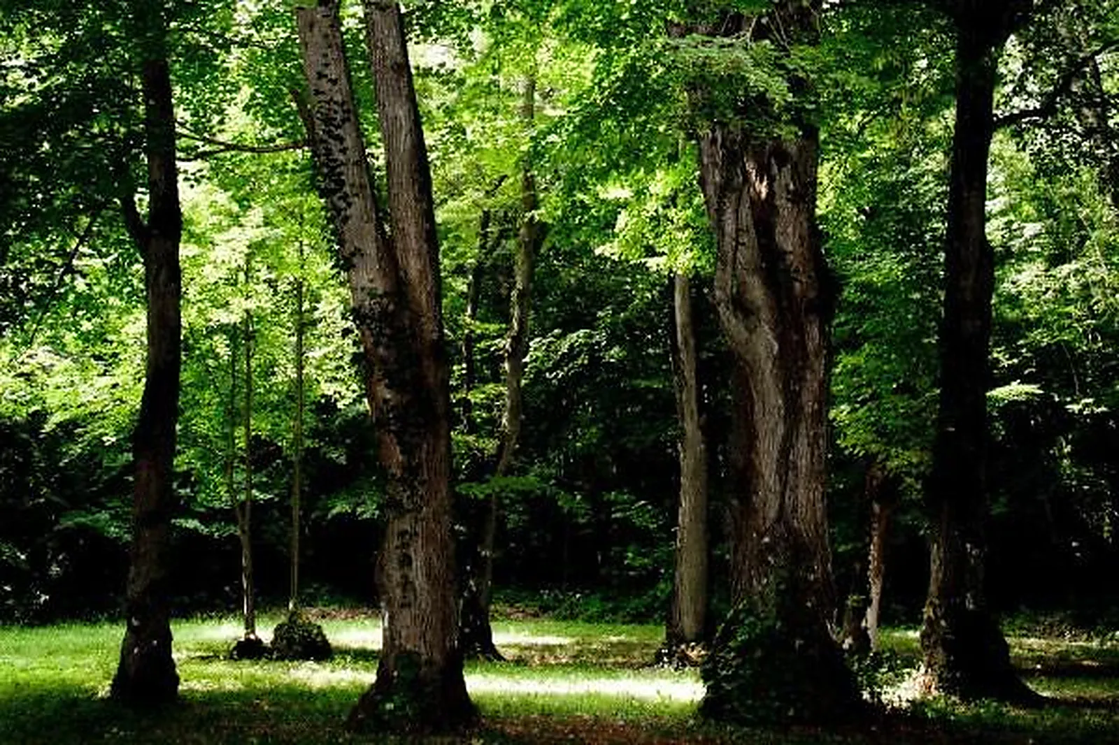 Lieux événementiels, CHÂTEAU VALENCAY