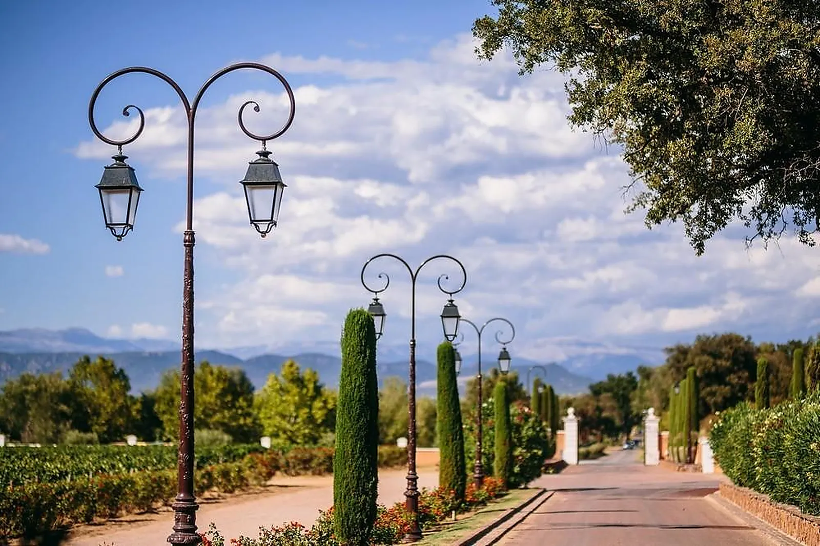 Lieux événementiels, CHÂTEAU VAUDOIS