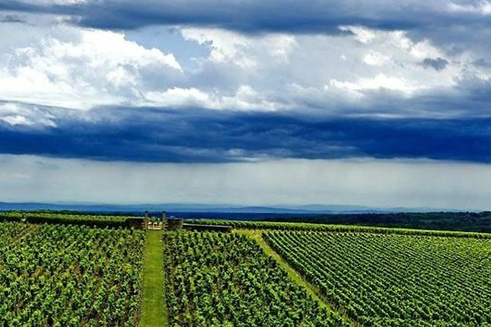 Lieux événementiels, CHÂTEAU DE BESSEUIL